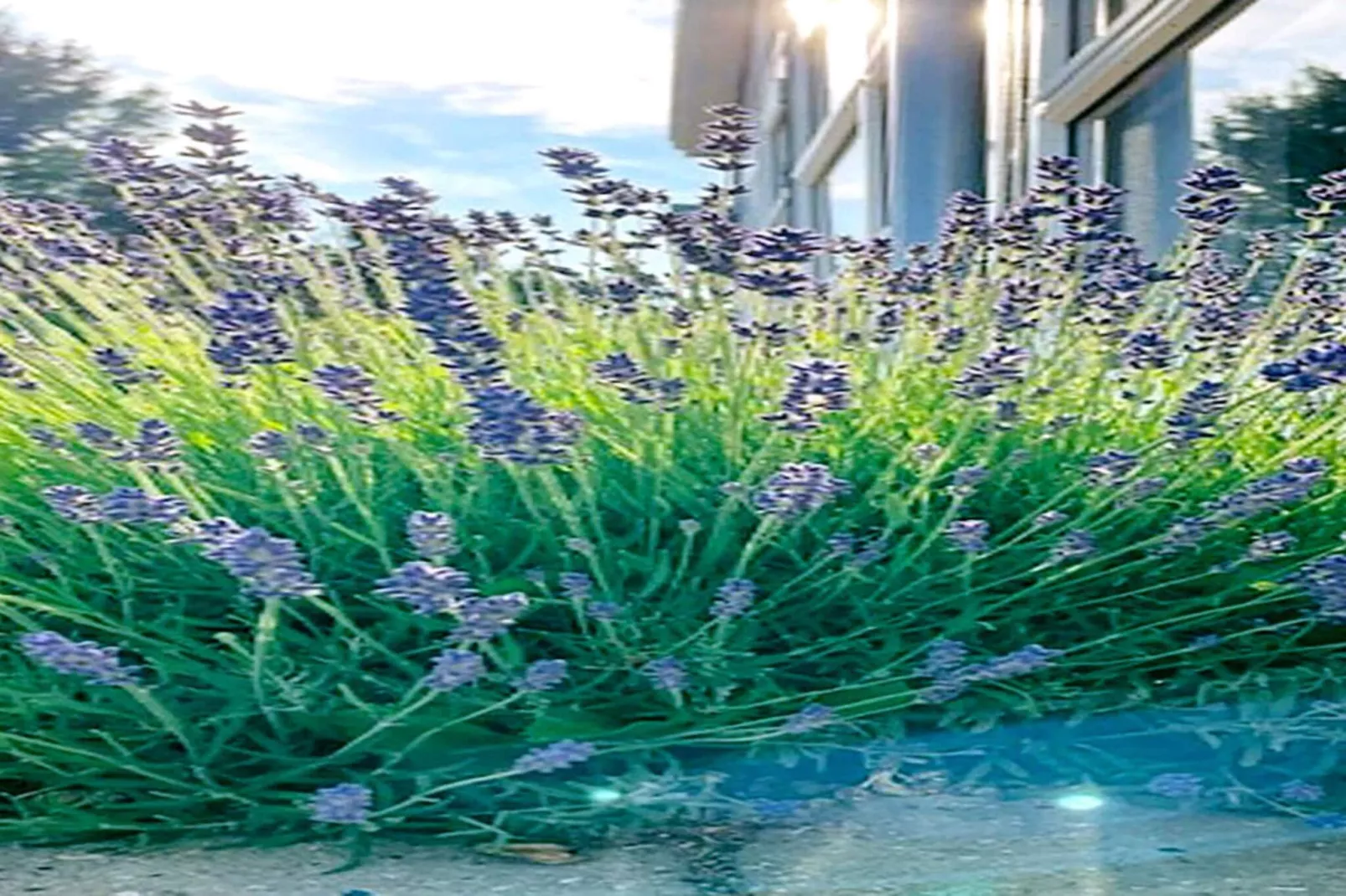 6 Personen Ferienhaus in Nysted-By Traum - Im Freien