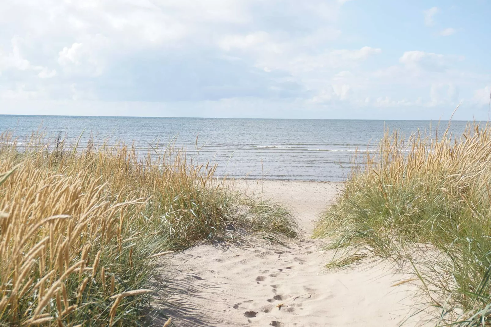 7 person holiday home in Falkenberg-By Traum-Not tagged