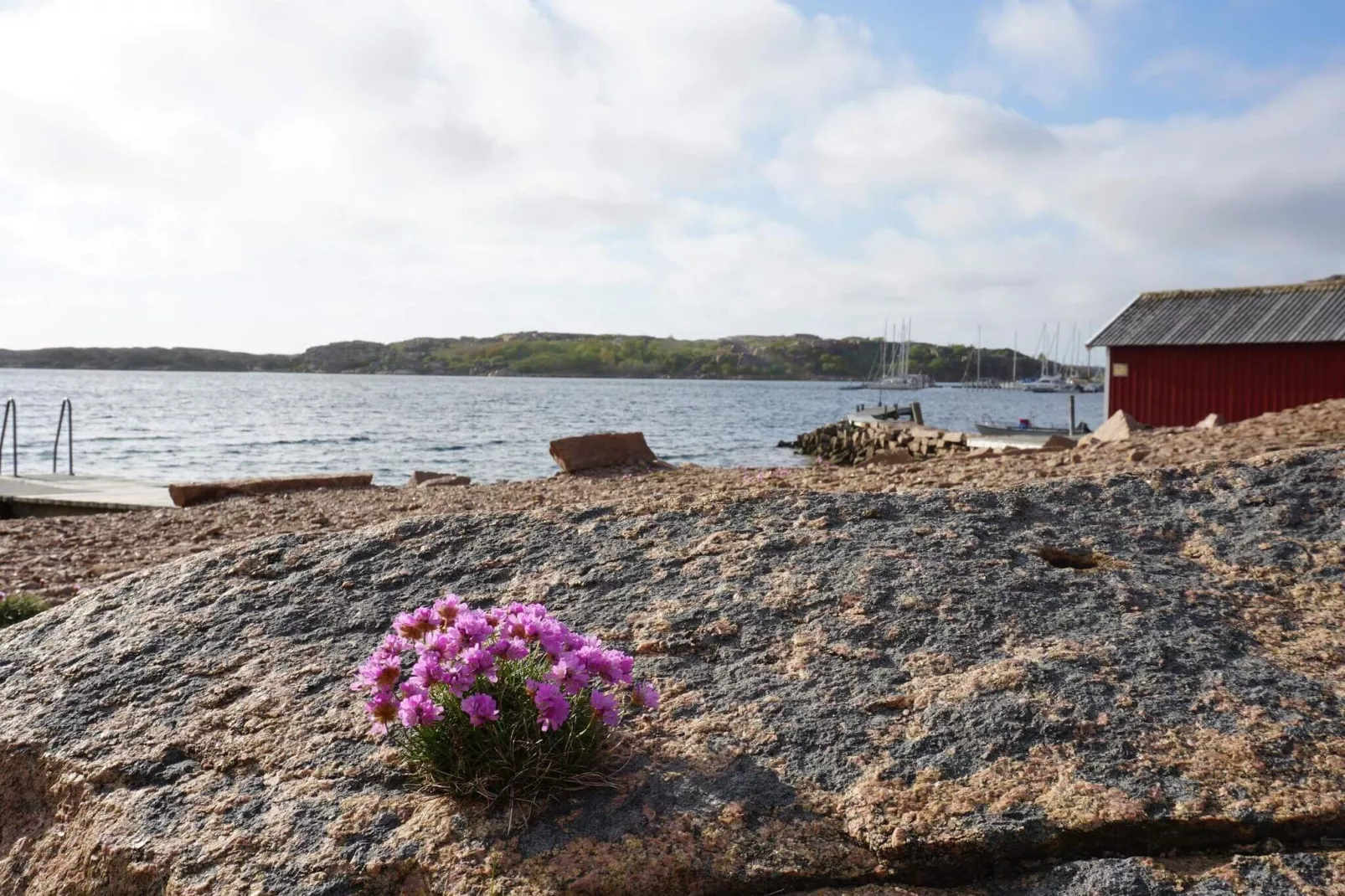 4 star holiday home in Bovallstrand-By Traum-Water view