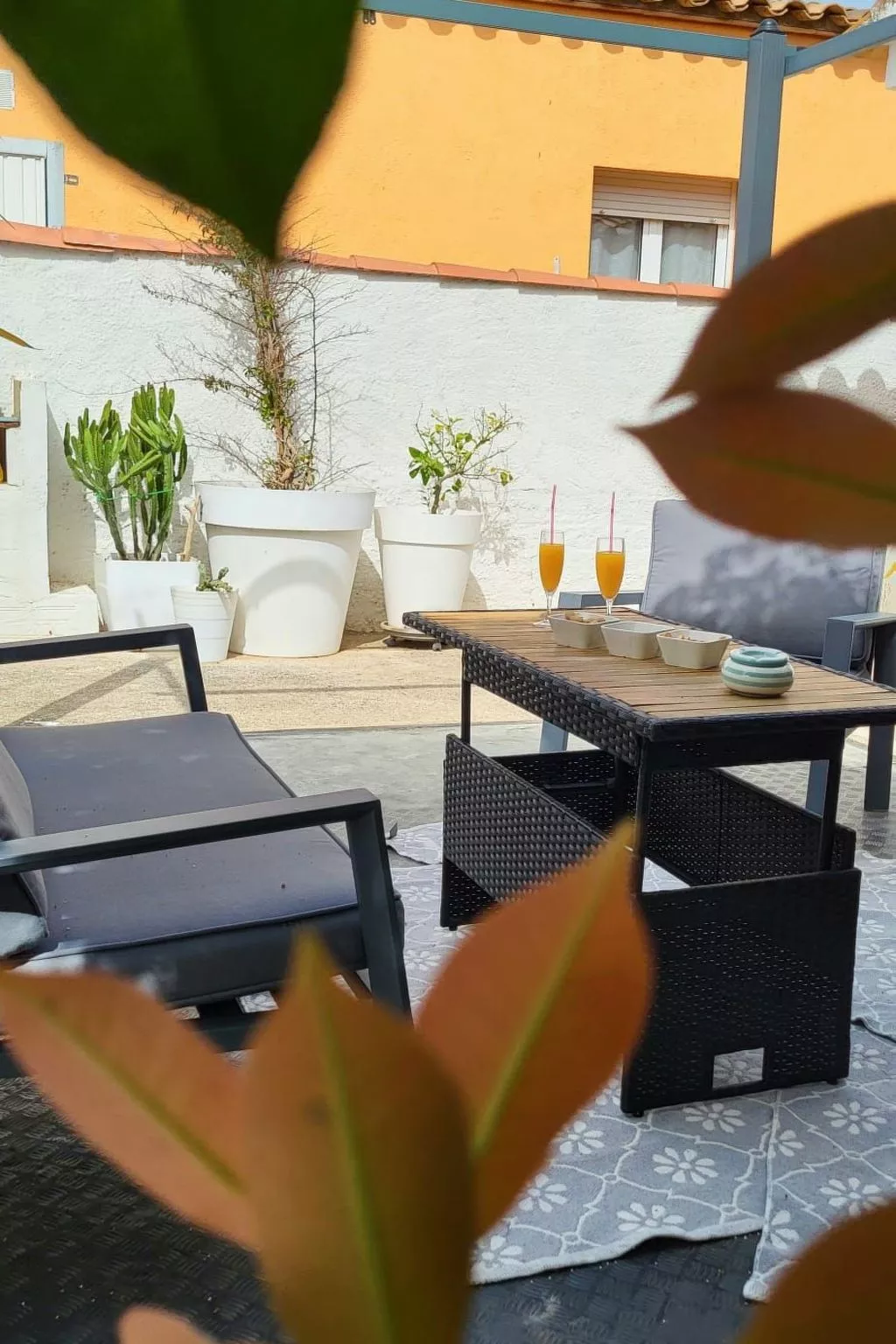 Can Mimosa - Draußen