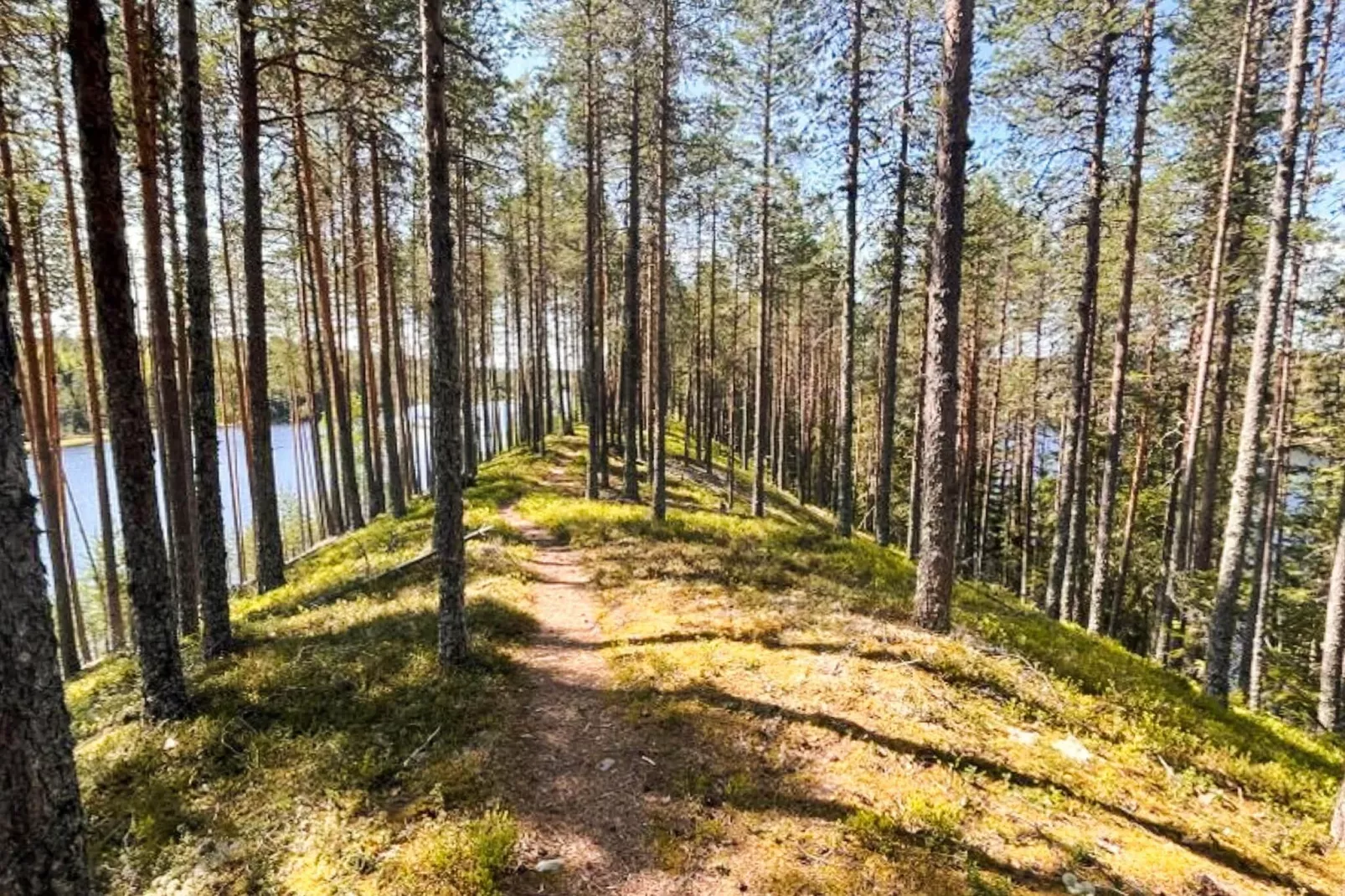 5 star holiday home in Sälen - Outdoor