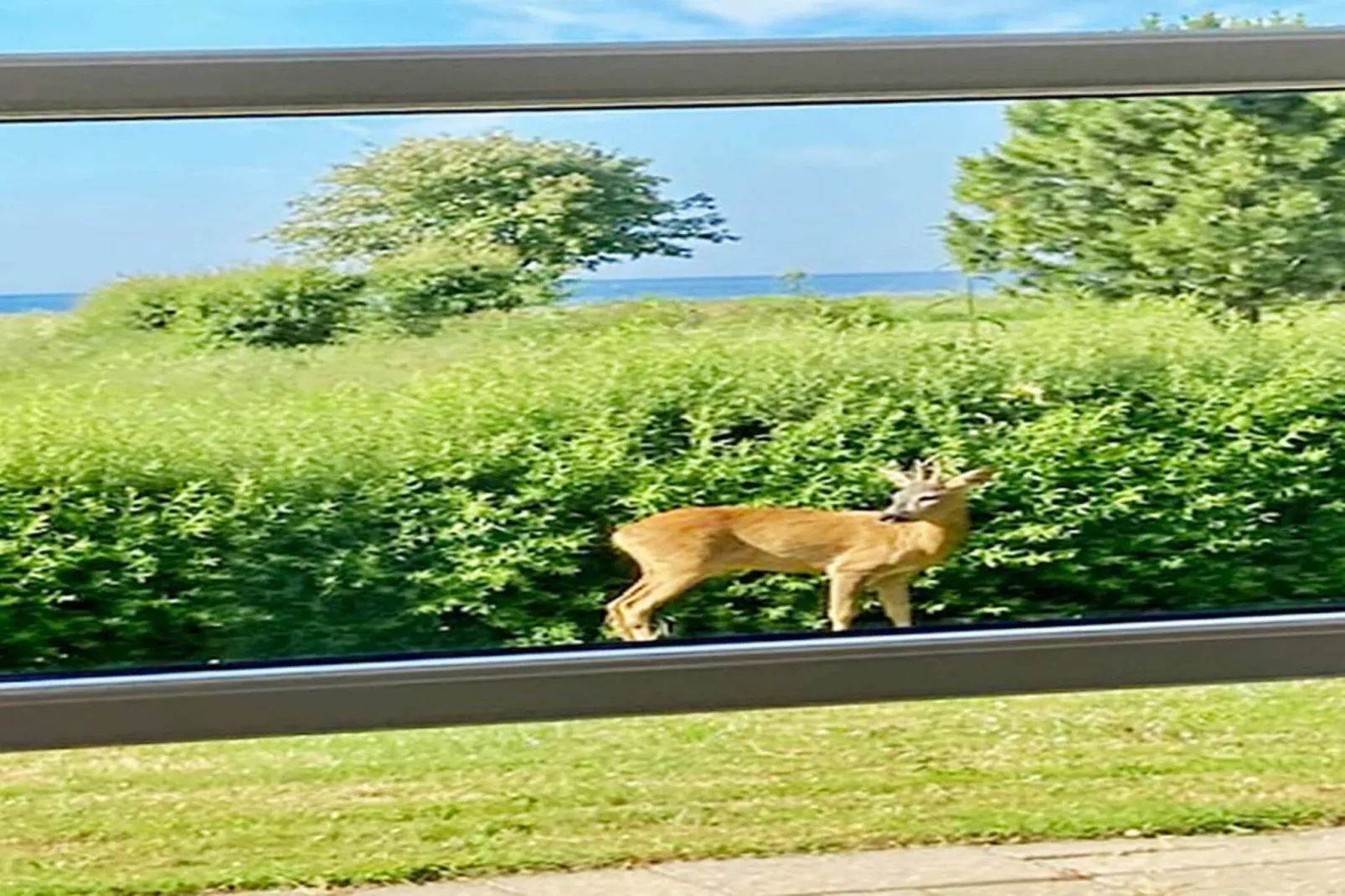 6 Personen Ferienhaus in Nysted-By Traum - Im Freien