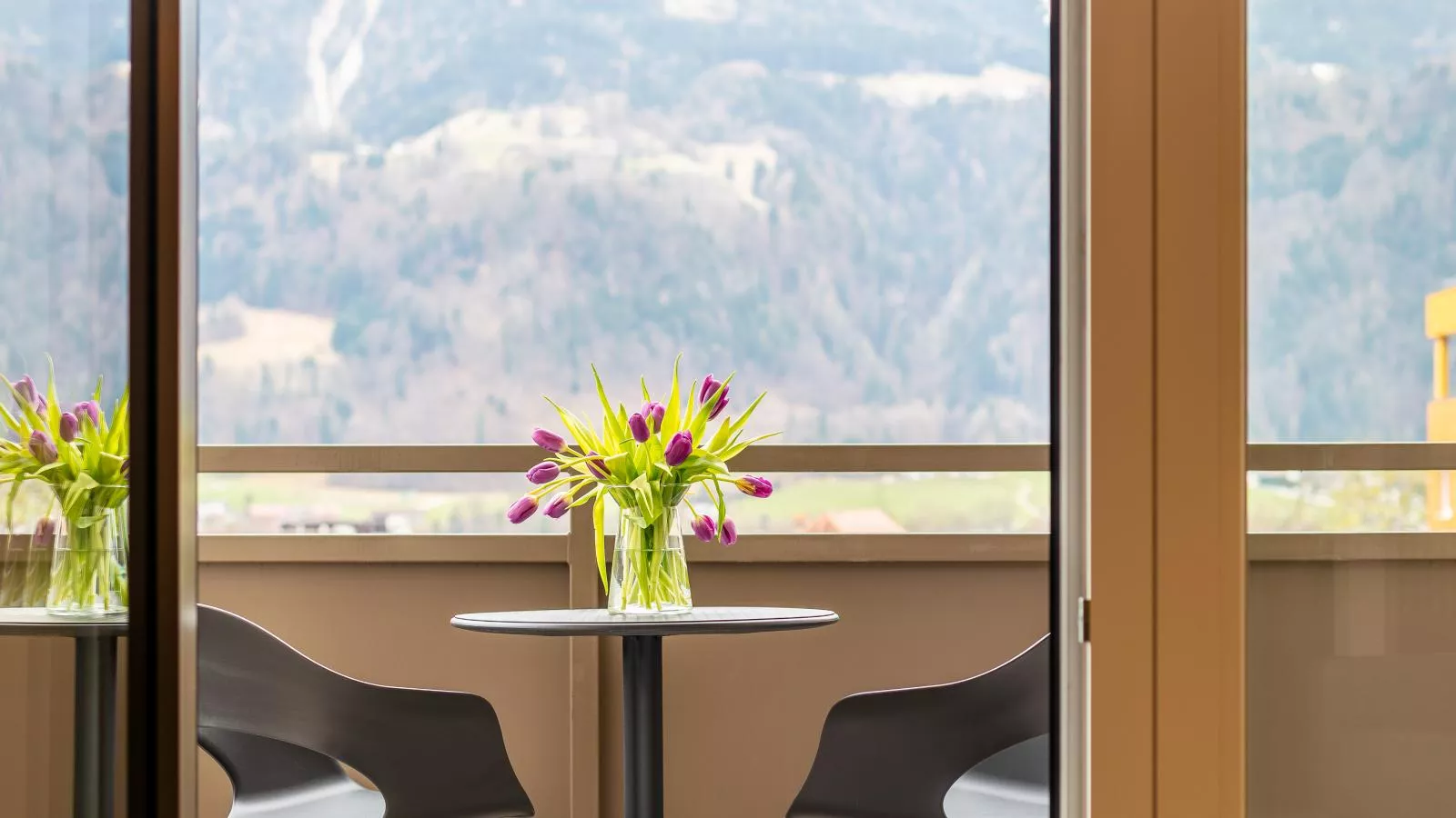 City Apartments Jenbach Top 7 - Terrasse / balcon