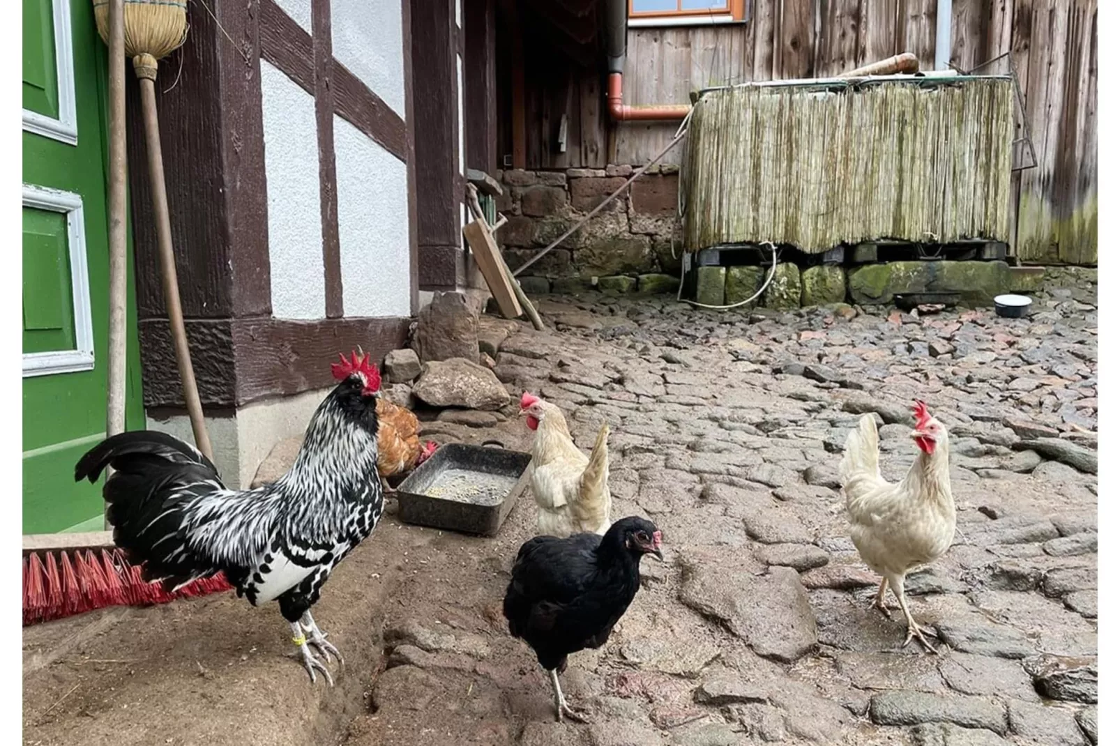 Ferienwohnung Bärbel - Jardins en été