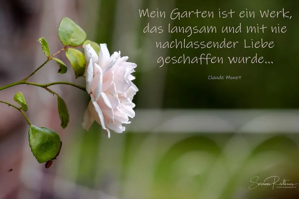 178118 - Nicht zugeordnet