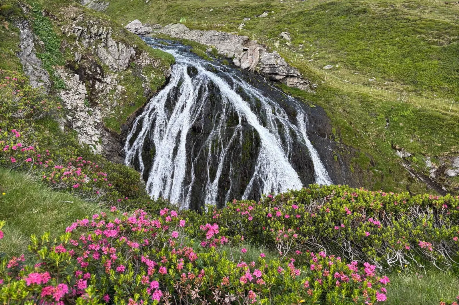 Mitterkopfblick - Areas within 20km in summer
