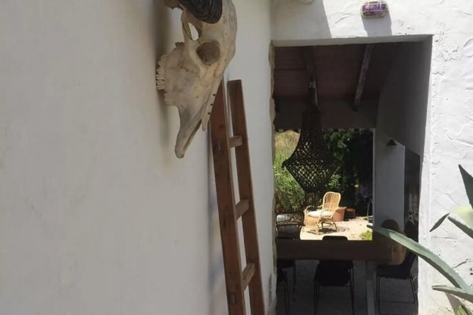 Finca de Piedra-Atmosphere