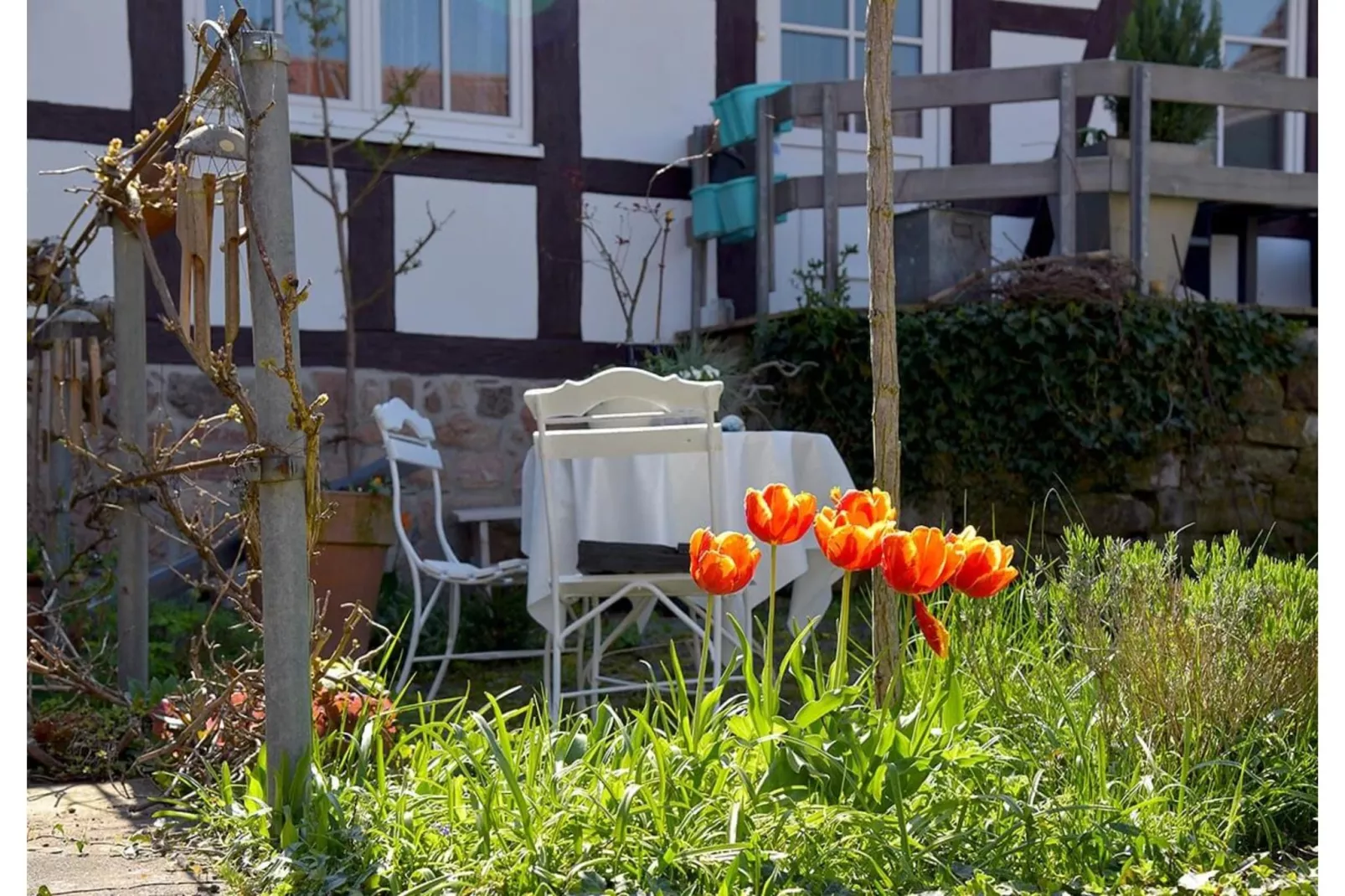 Ferienwohnung Bärbel - Jardins en été