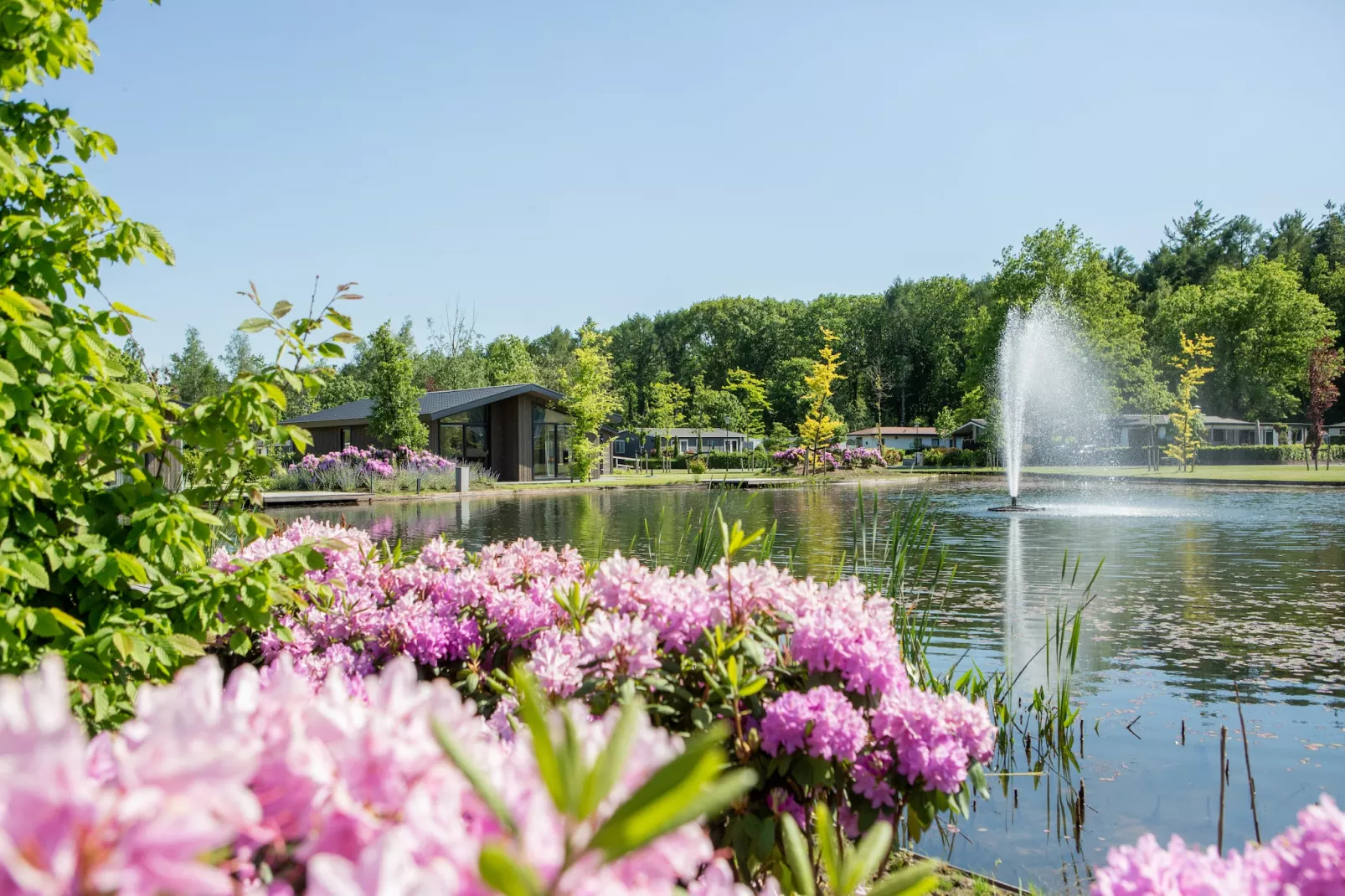 Vakantiepark Molenvelden 10 - Parkeinrichtungen