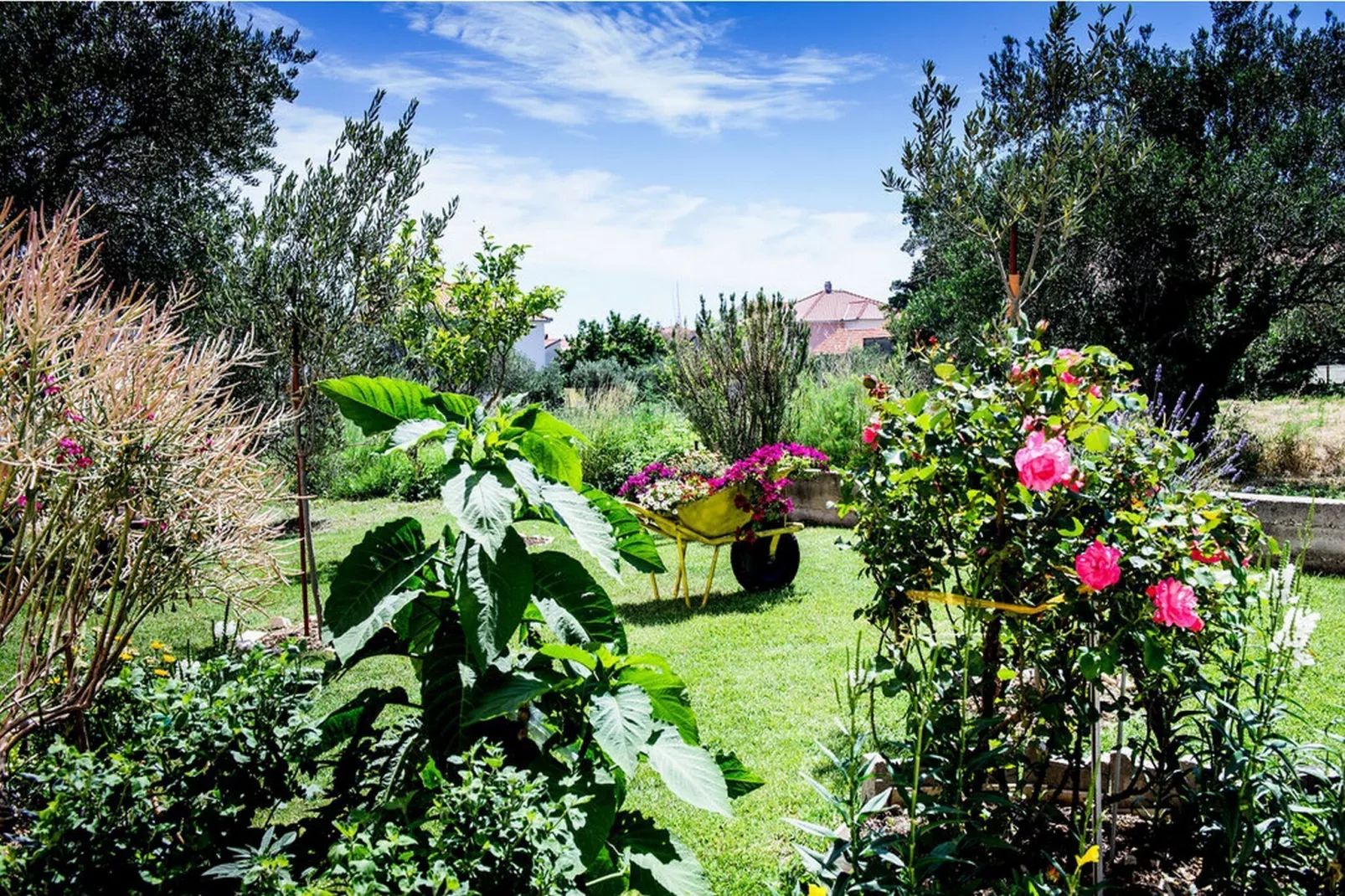 Two Bedroom Apartment (Owner Purple) - Garten Sommer