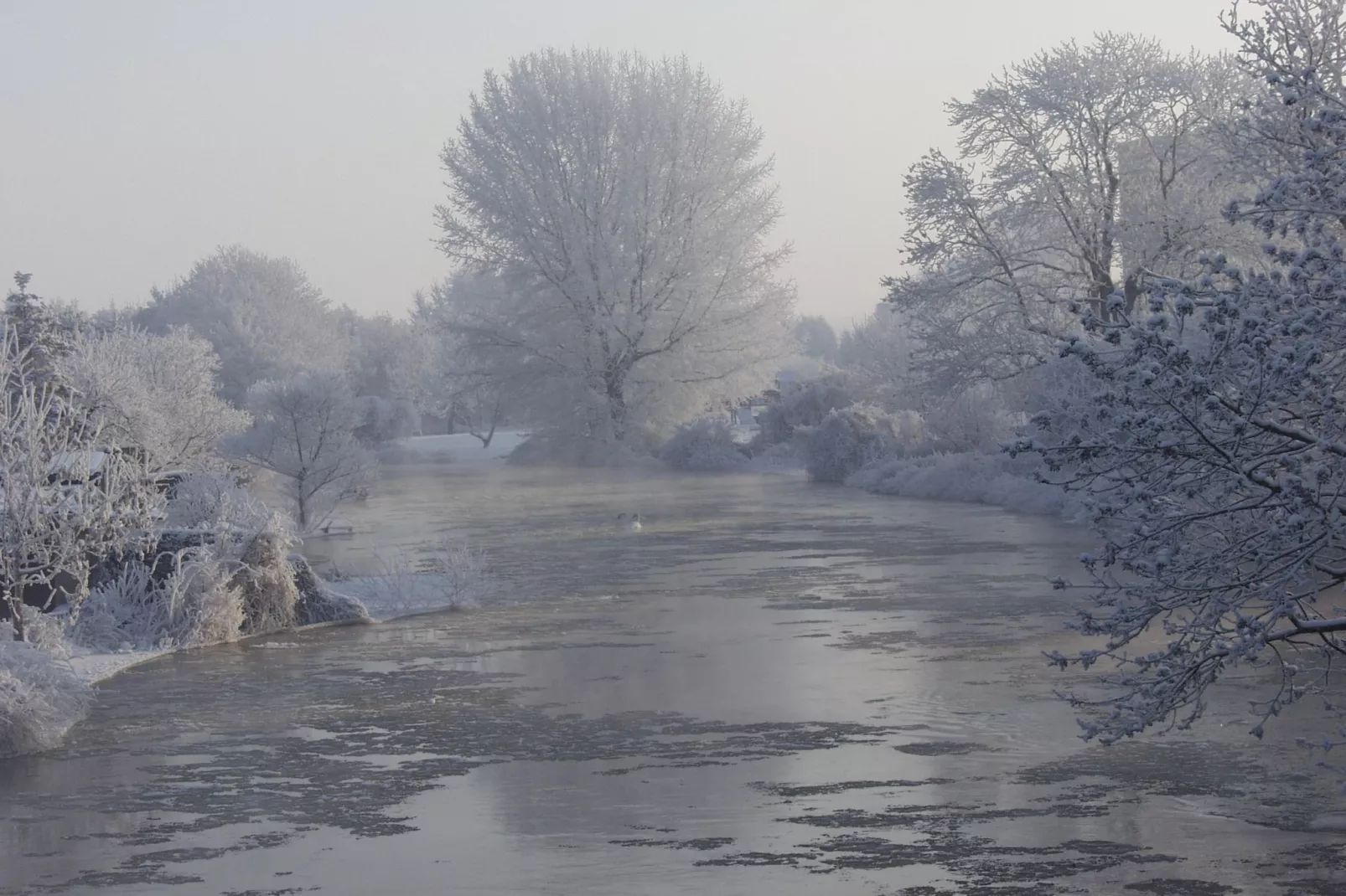 Ferienwohnung OG Staßfurt Schnittke - Area within 5km in winter
