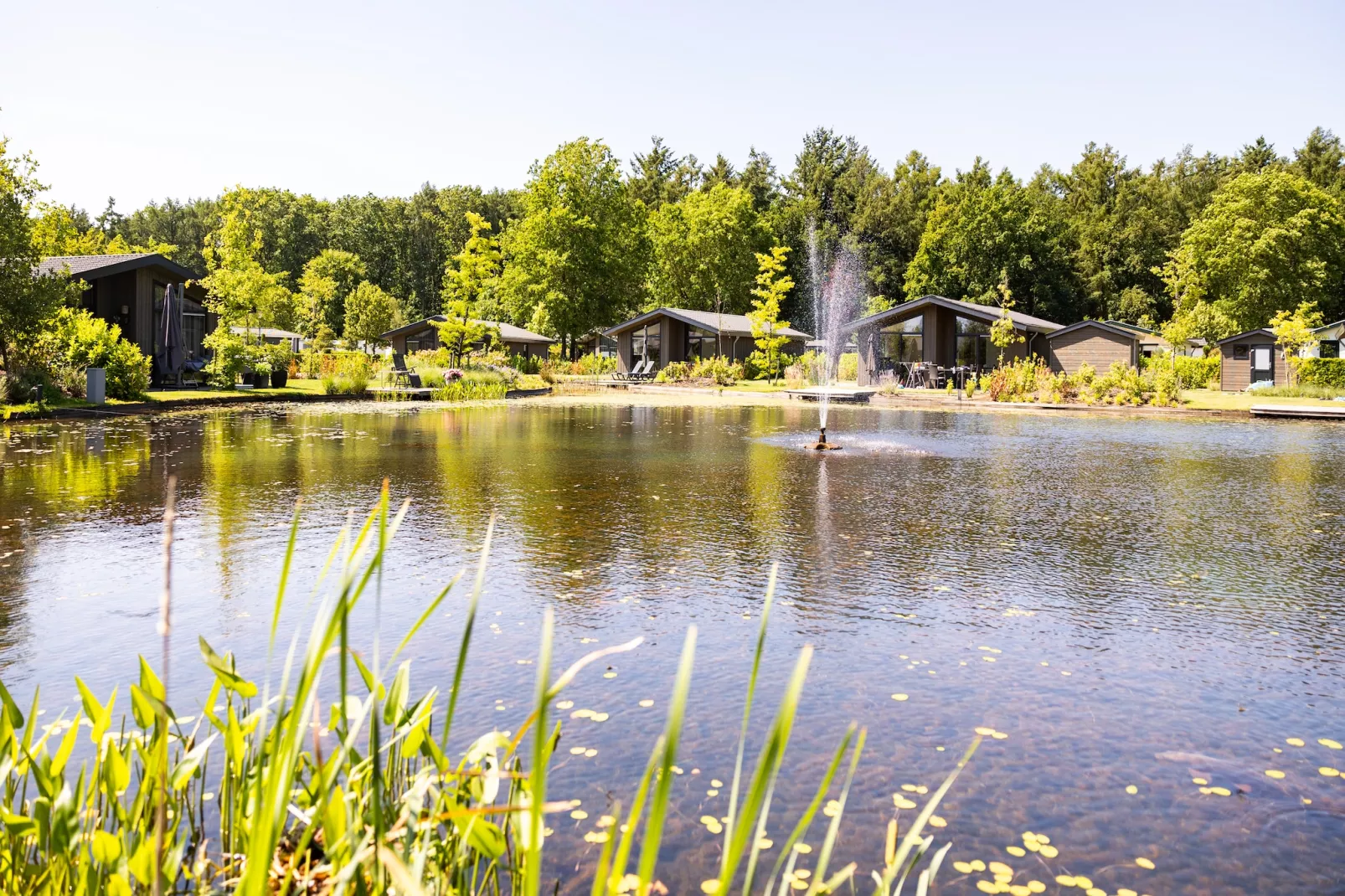 Vakantiepark Molenvelden 10 - Parkeinrichtungen