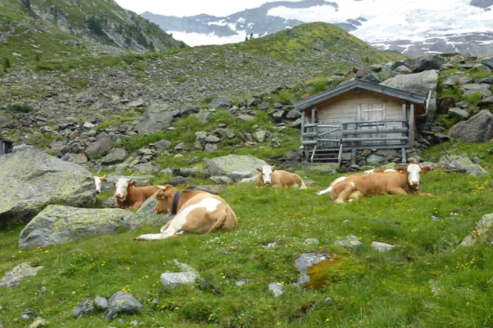 Gernkogelblick - Areas within 20km in summer