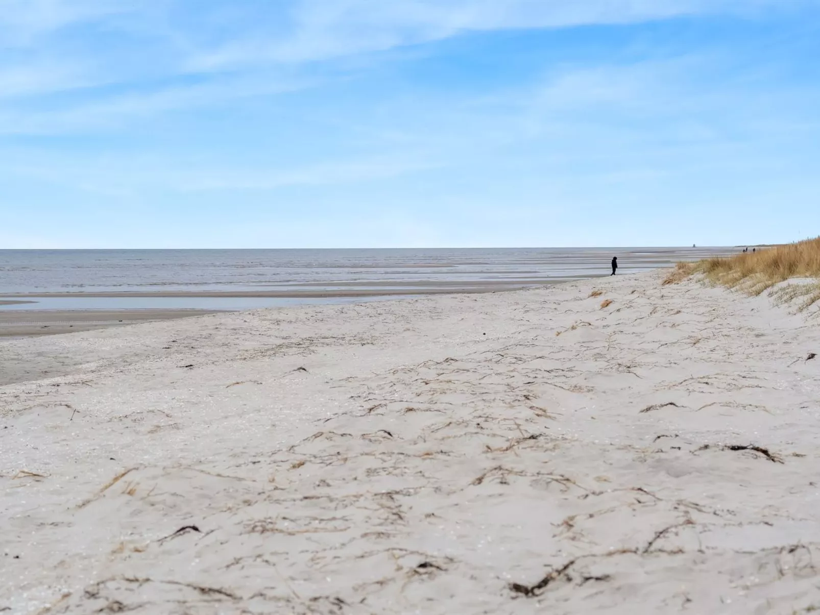 "Elnur" -  from the sea - Draußen