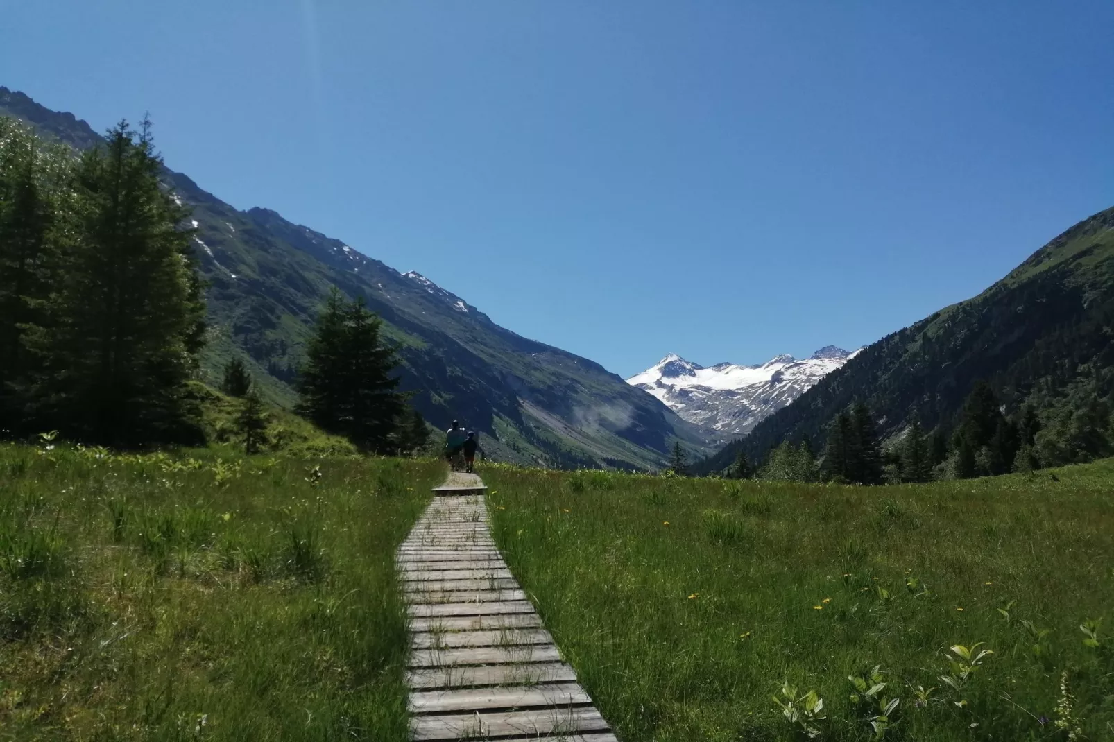 Mitterkopfblick - Areas within 20km in summer