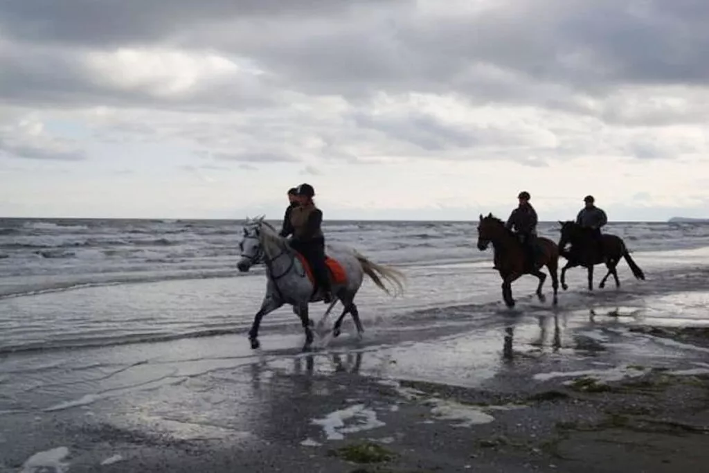31851 - Nicht zugeordnet