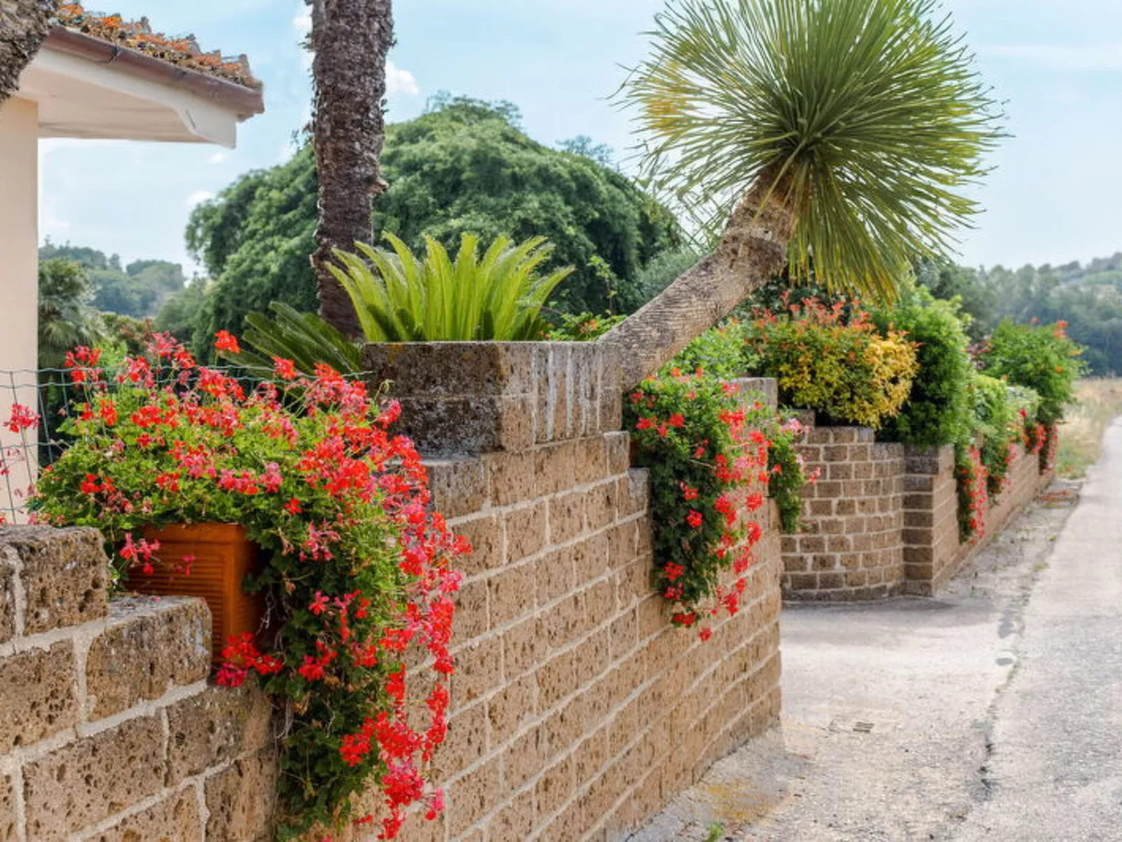 Cyca Holiday Home - Dehors