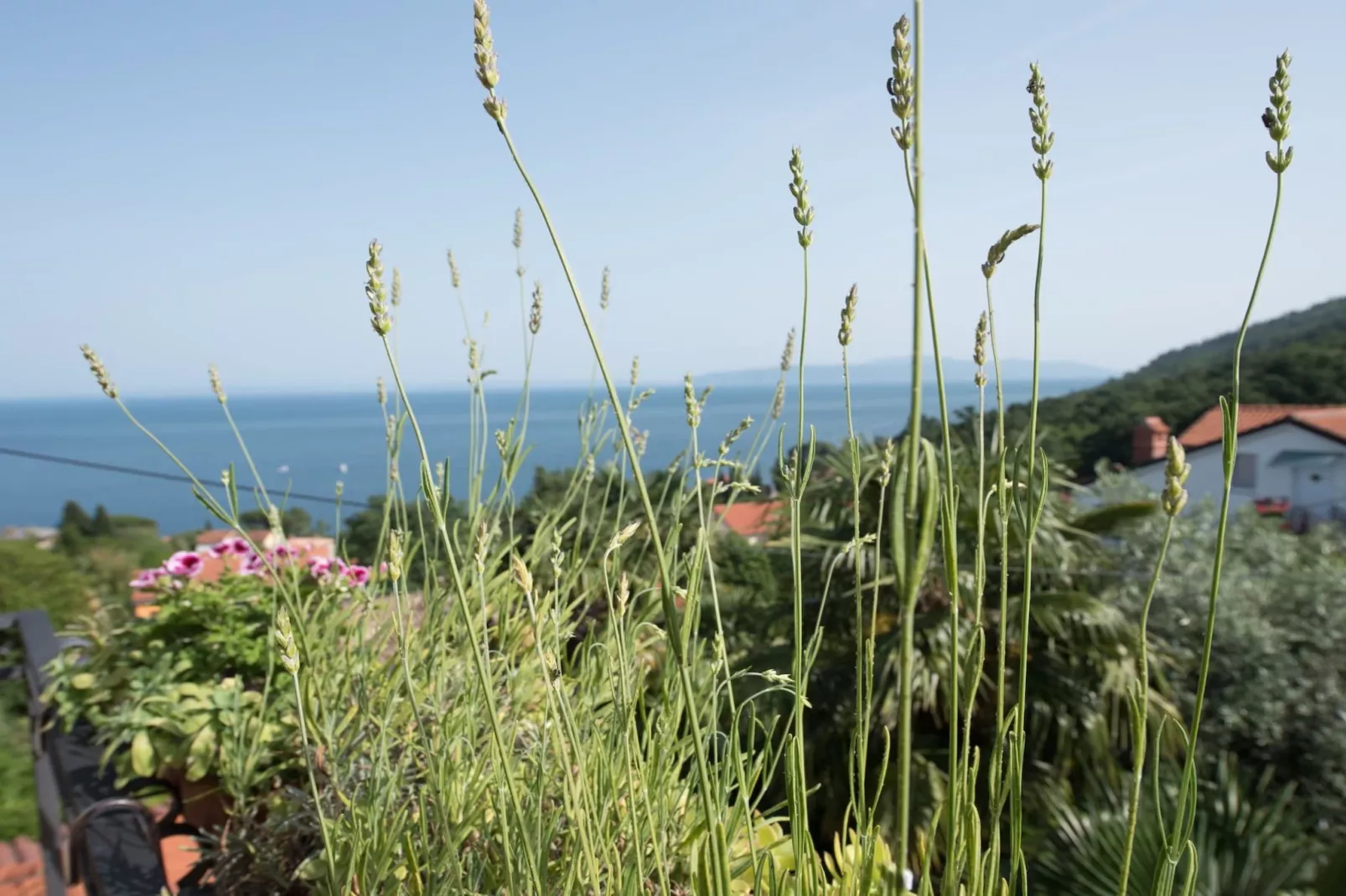 Stylish Lovran Sea View Apartments - Studio Apartment with Balcony and Sea View - Extérieur
