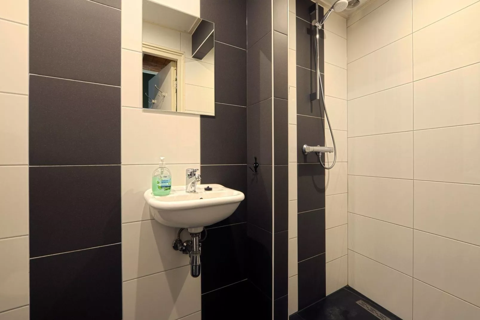 Familiehuis Ruighenrode-Salle de bain