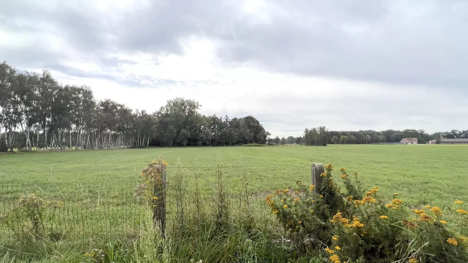 Lindehoeve-View summer