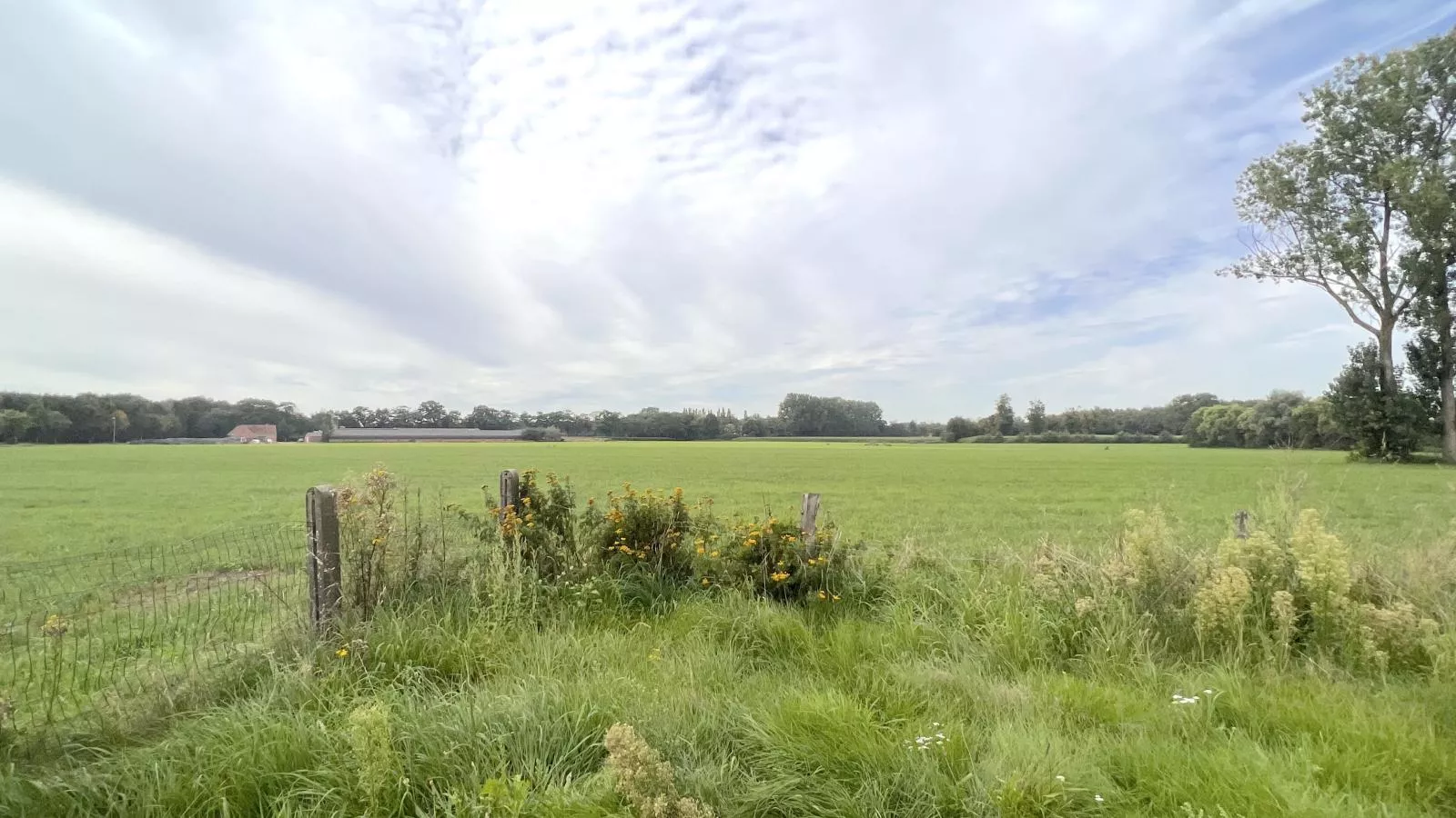 Lindehoeve-View summer