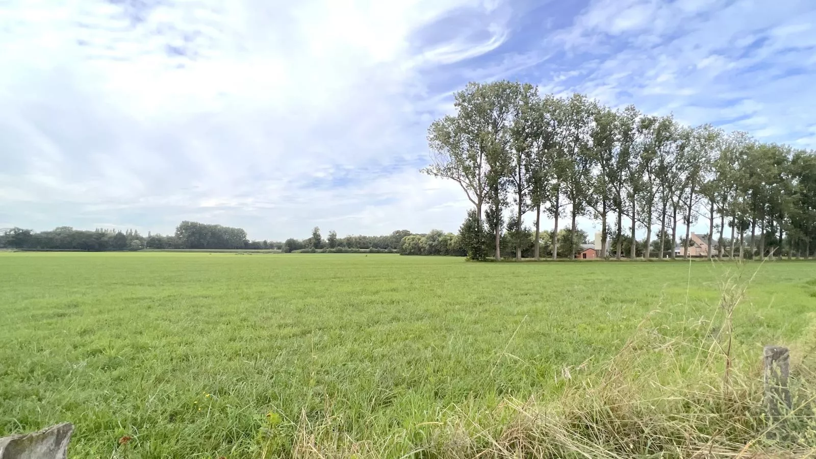 Lindehoeve-View summer