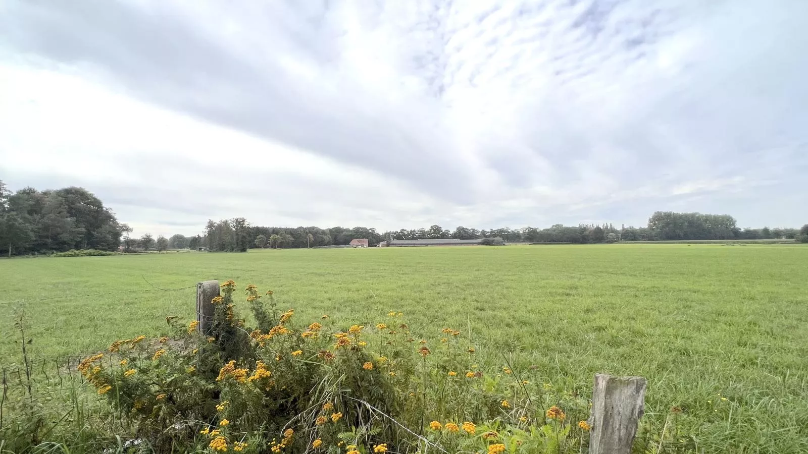 Lindehoeve-View summer