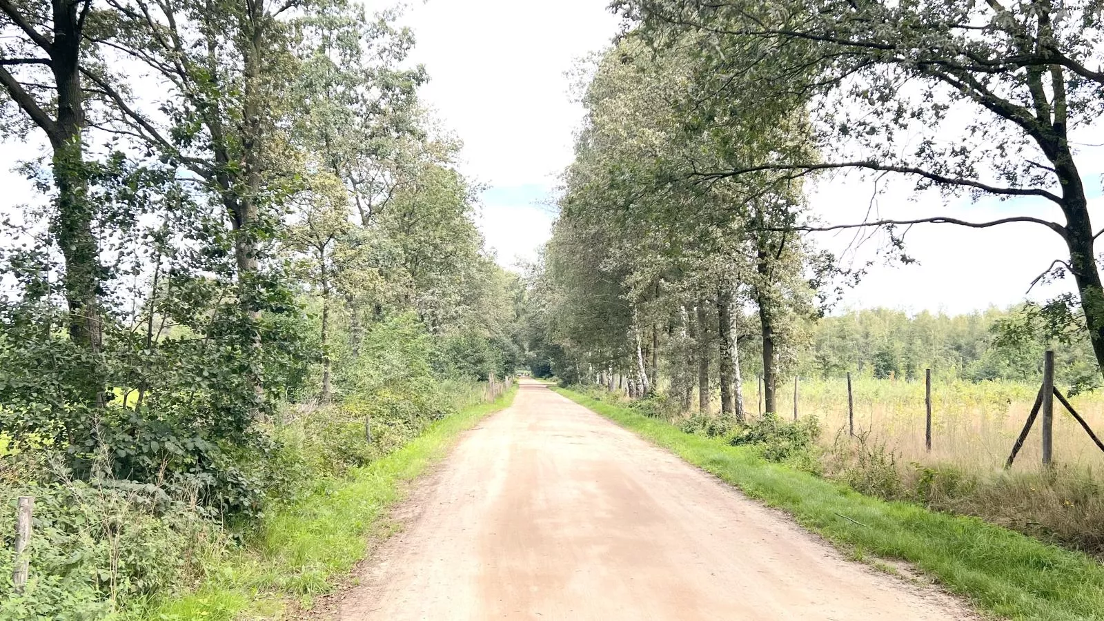 Lindehoeve-Areas summer 1km