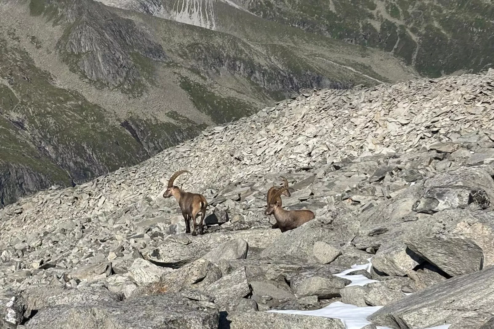 Gernkogelblick - Areas within 5km in summer