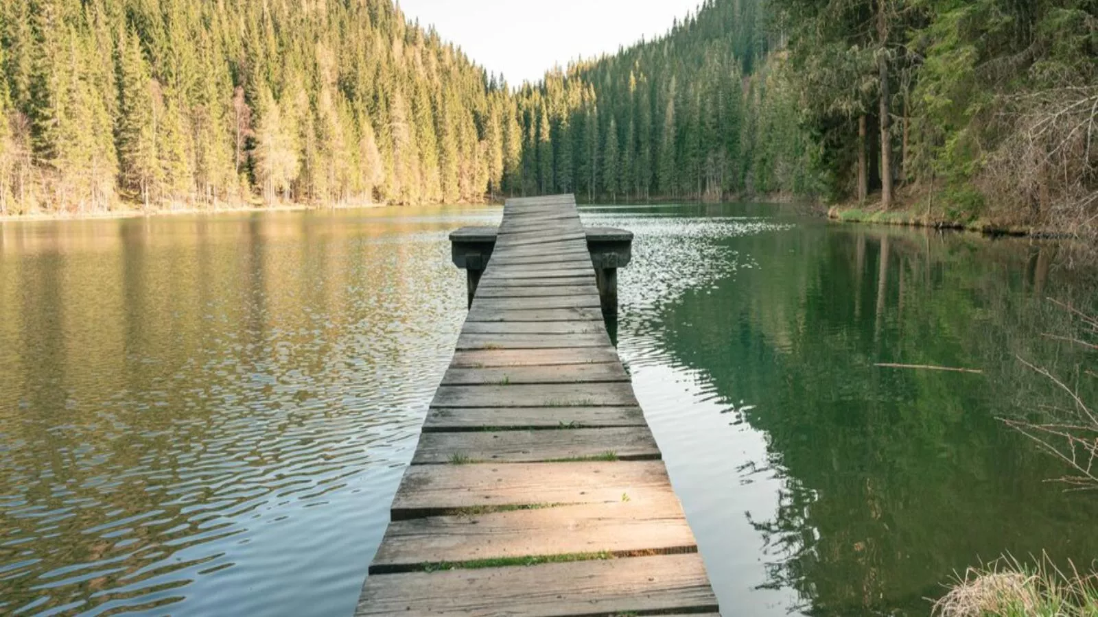 Landhaus Alpenblick Grebenzen - Areas within 5km in summer