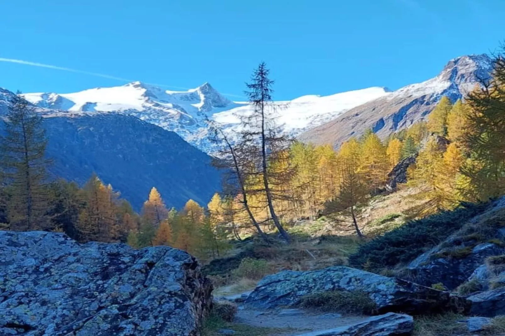 Mitterkopfblick - Area within 1km in winter