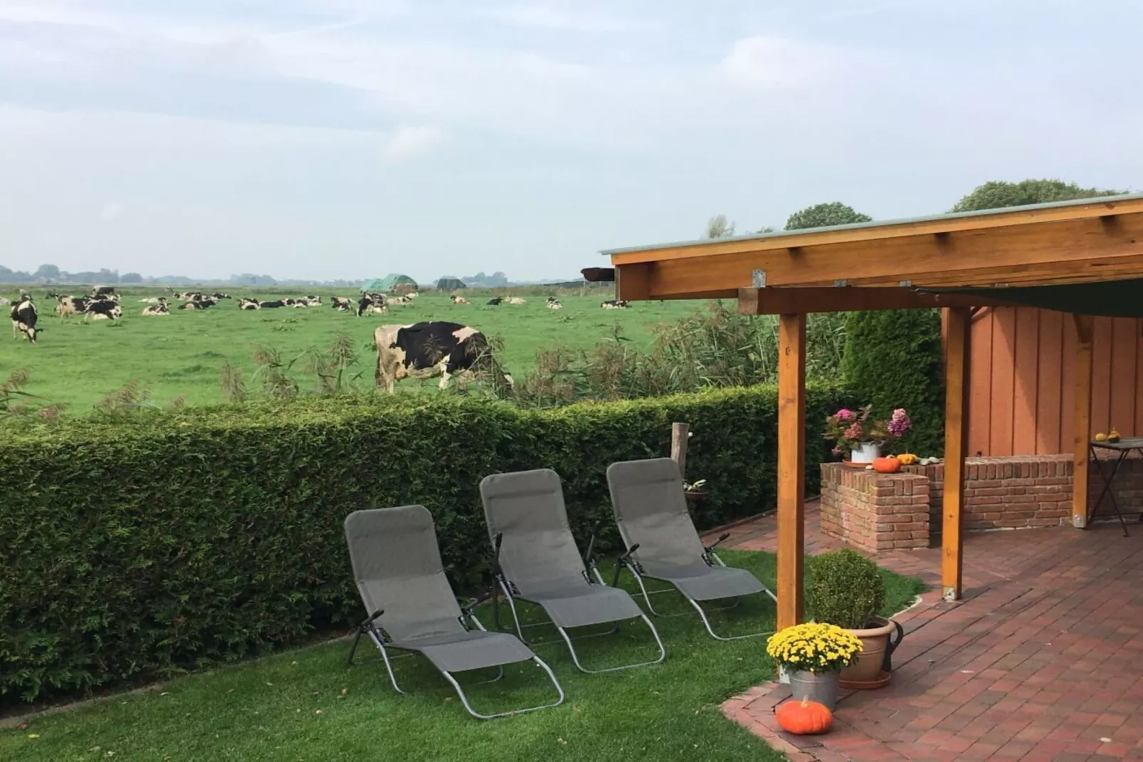177363 - Terrasse/Balkon