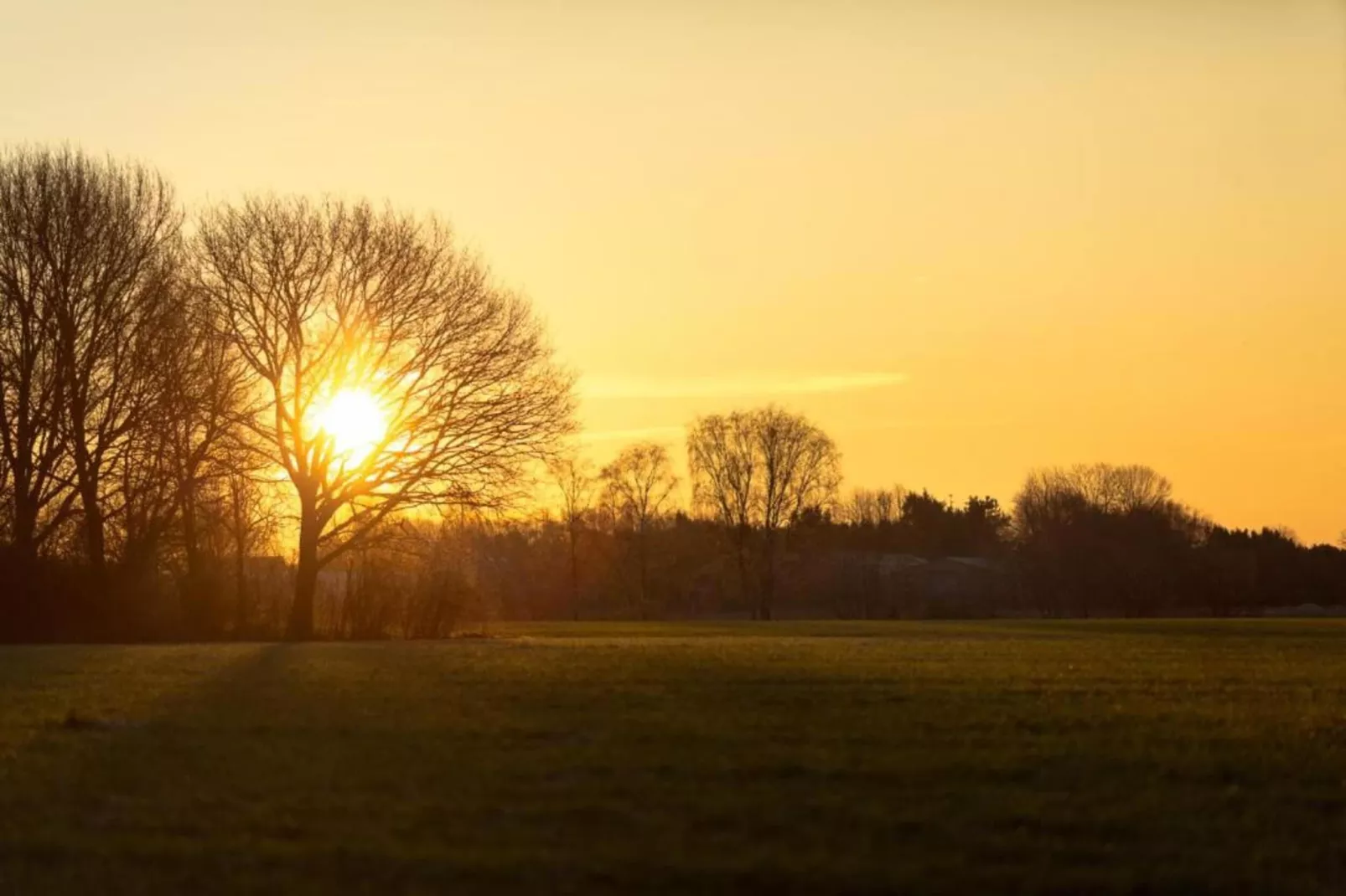 Vakantiepark Molenvelden 10 - Gebiete Sommer 20 km