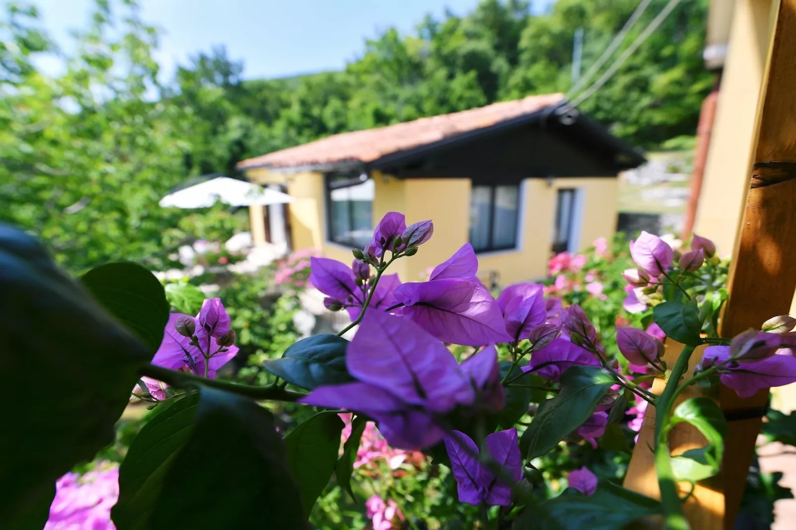 Charming Holiday Home with Terrace and Garden - One Bedroom Holiday Home - Extérieur