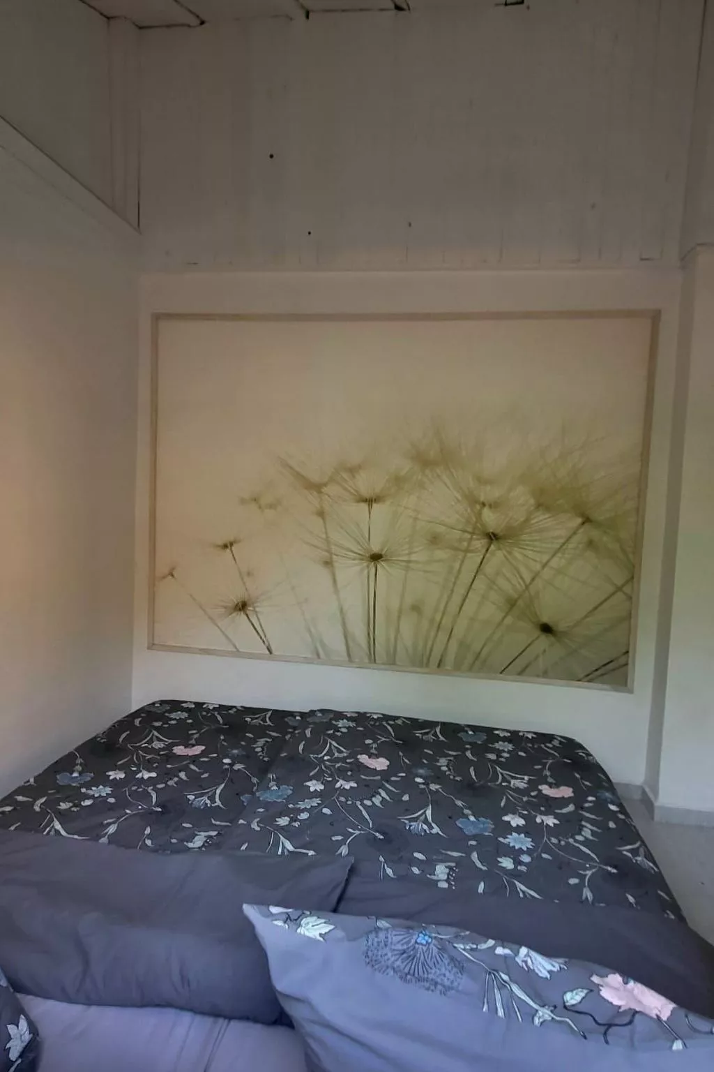 Can Mimosa - Drinnen