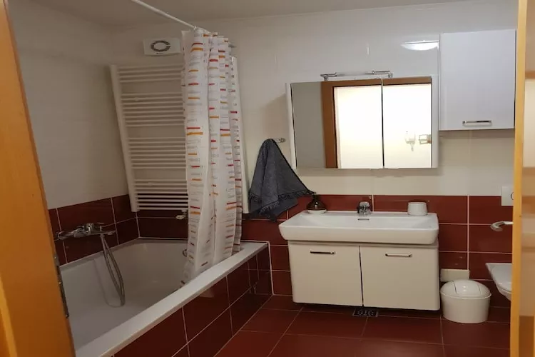 Apartment Aurelia Arena - One Bedroom Apartment - Salle de bain