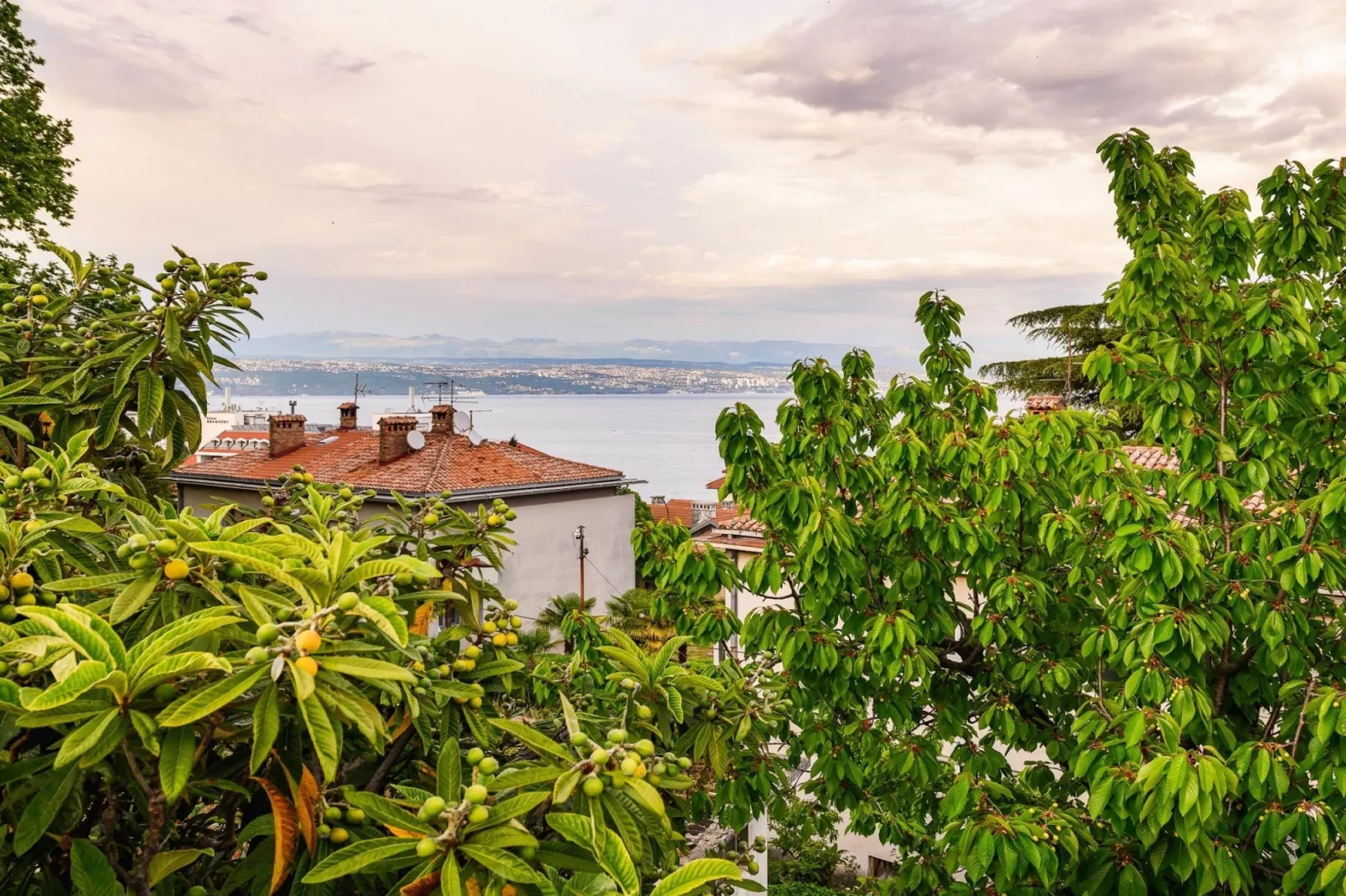 Charming Lovran Apartments with Wonderful Sea View - Two Bedroom Apartment - Outdoor
