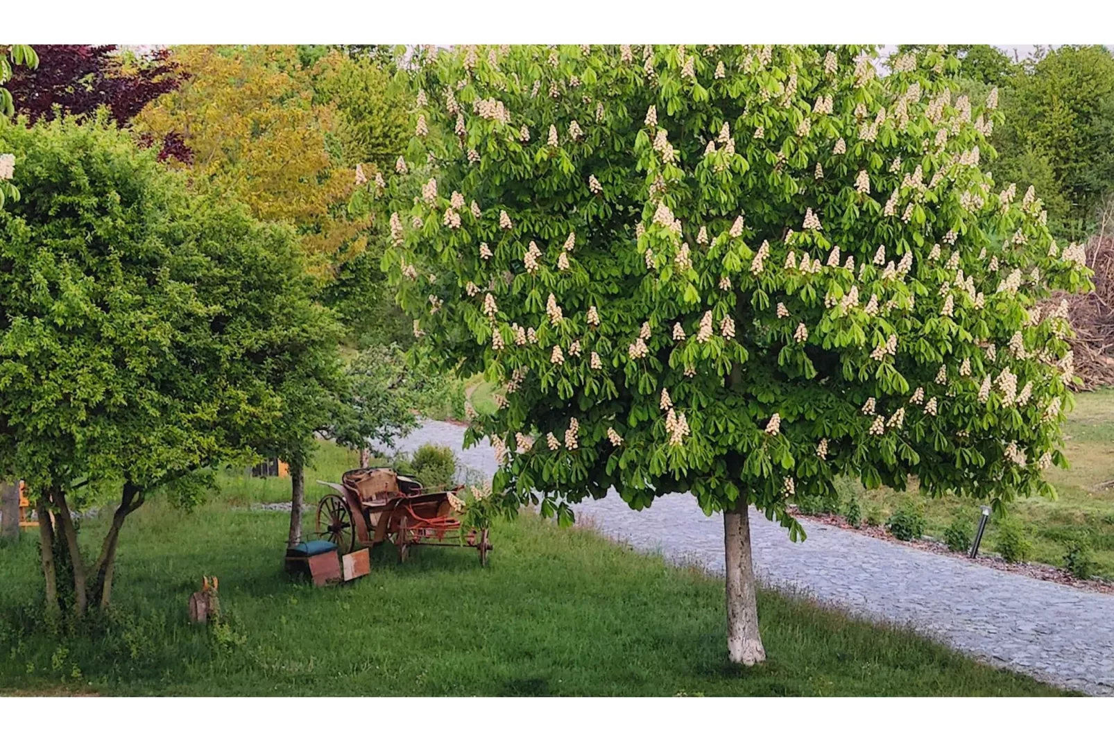 522 1P 40€(6) Schulz - Gebiete Sommer 5 km