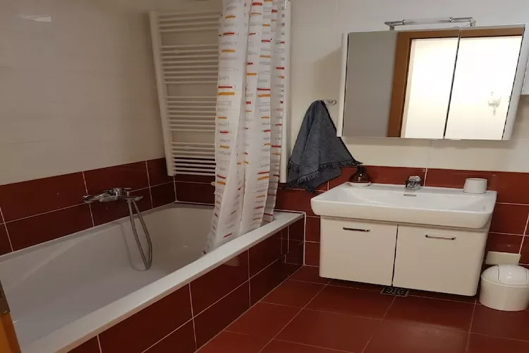 Apartment Aurelia Arena - One Bedroom Apartment - Salle de bain
