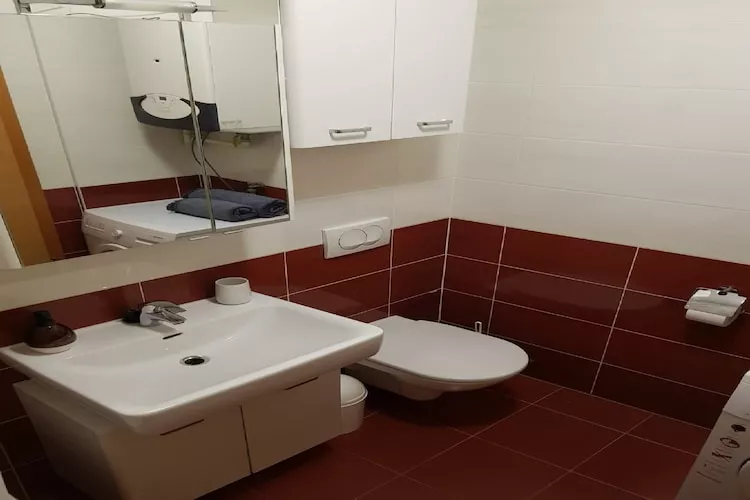 Apartment Aurelia Arena - One Bedroom Apartment - Salle de bain
