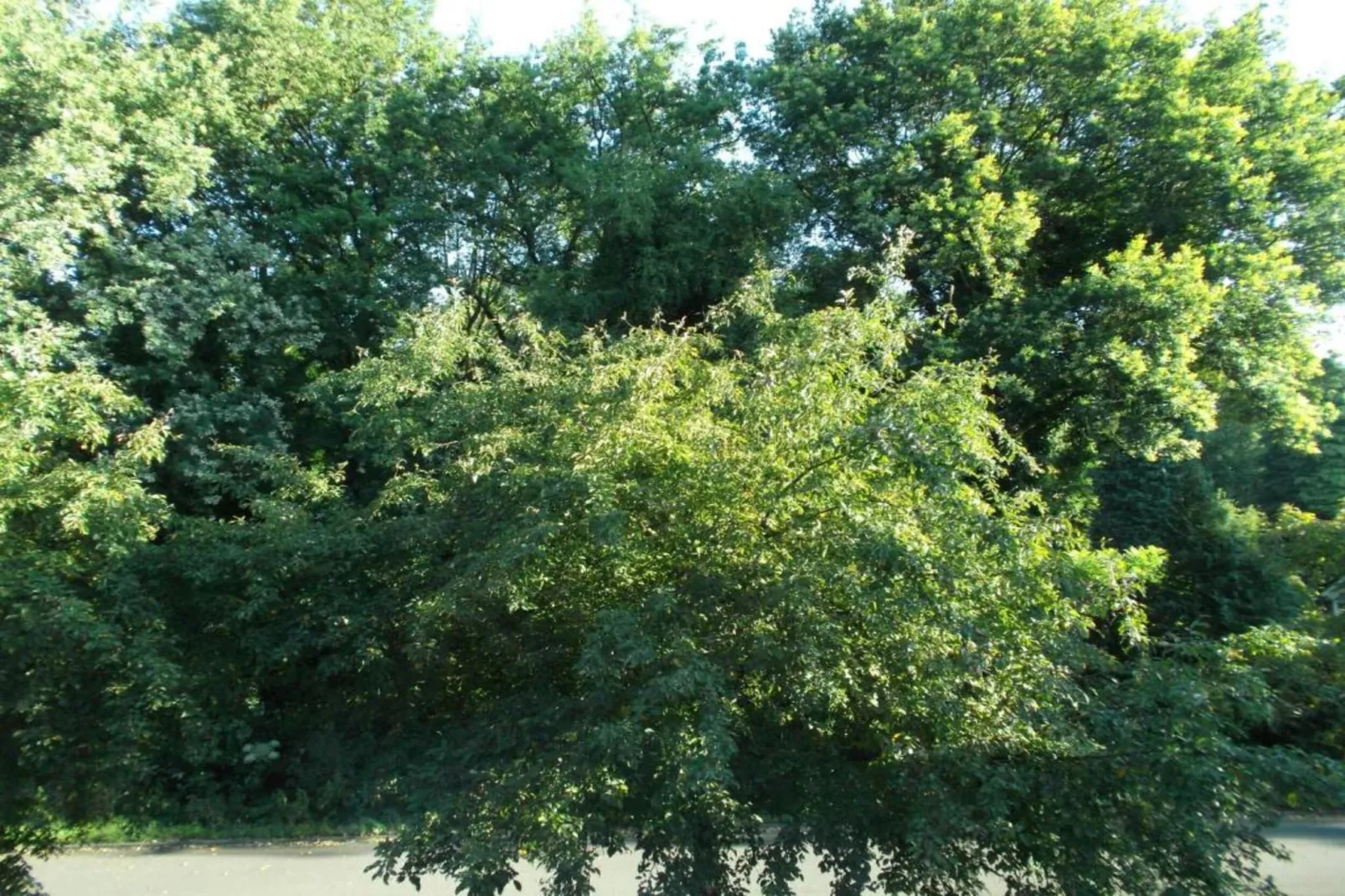 Vakantiepark Molenvelden 10 - Gebiete Sommer 20 km
