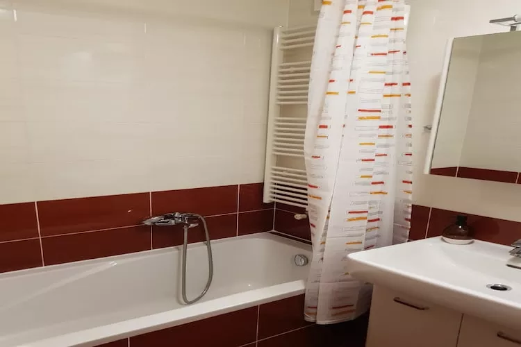 Apartment Aurelia Arena - One Bedroom Apartment - Salle de bain