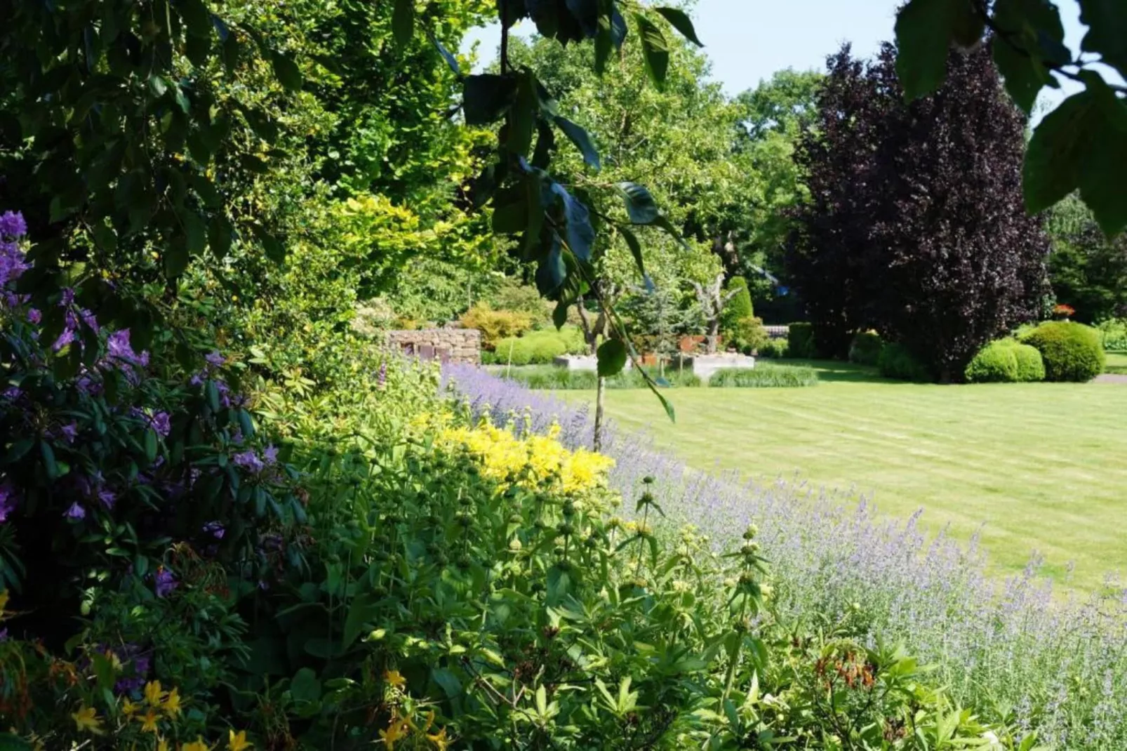 Vakantiepark Molenvelden 10 - Gebiete Sommer 20 km