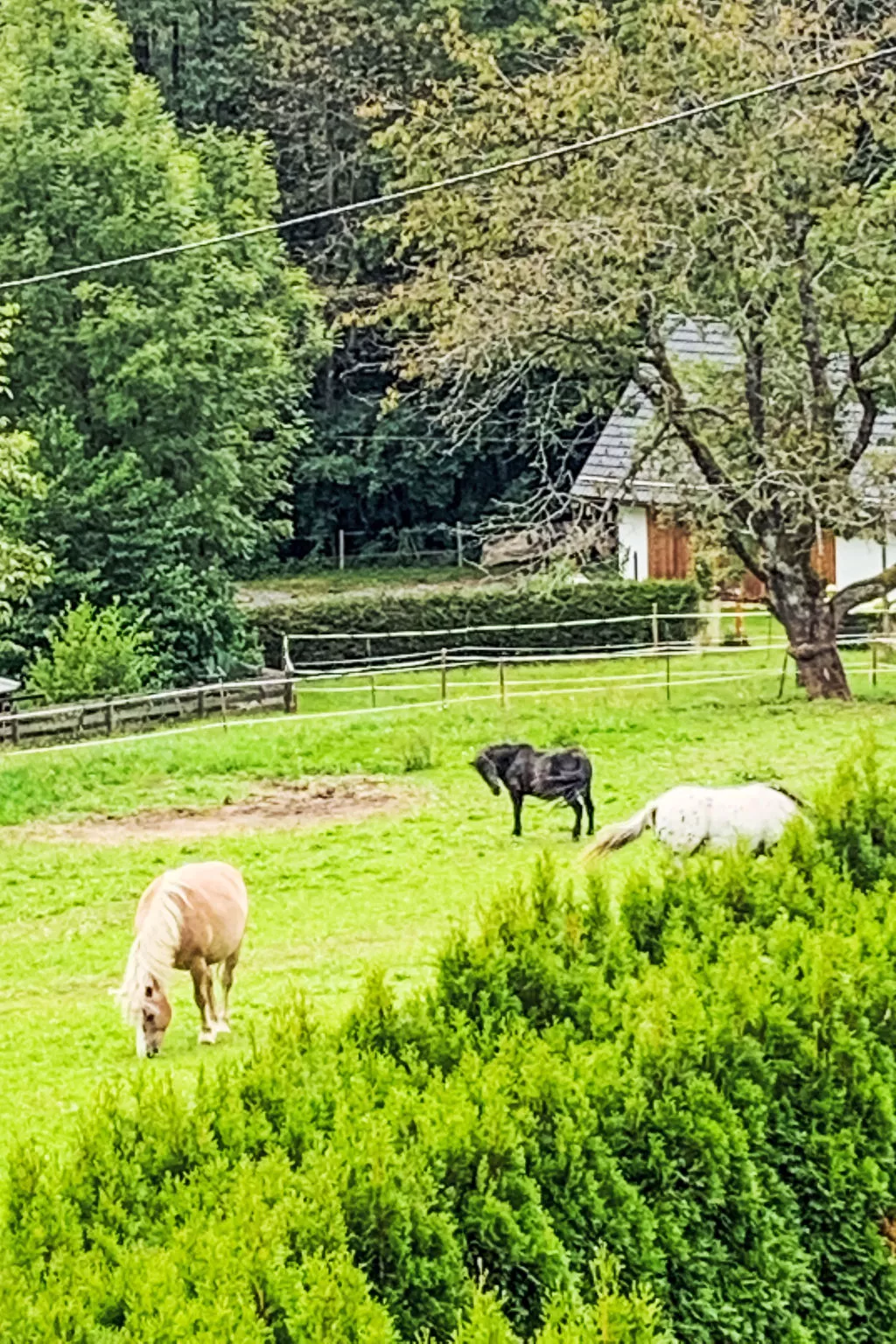 Apartamento Giovanna - Dehors