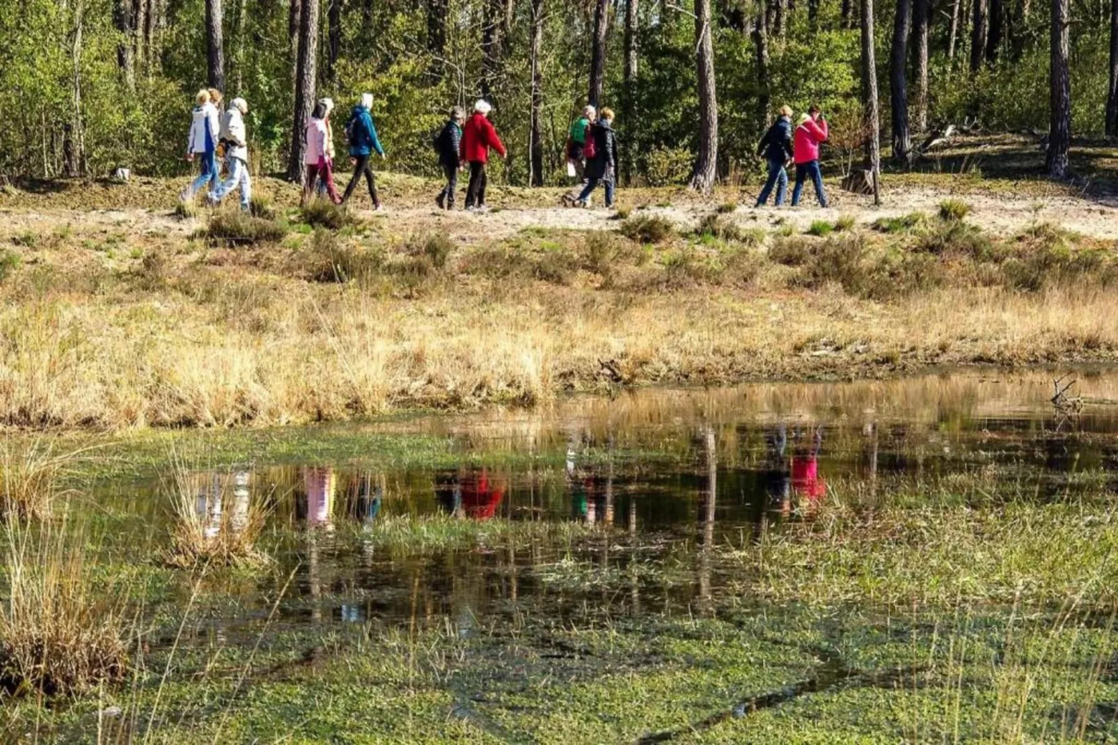 Vakantiepark Molenvelden 10 - Gebiete Sommer 20 km