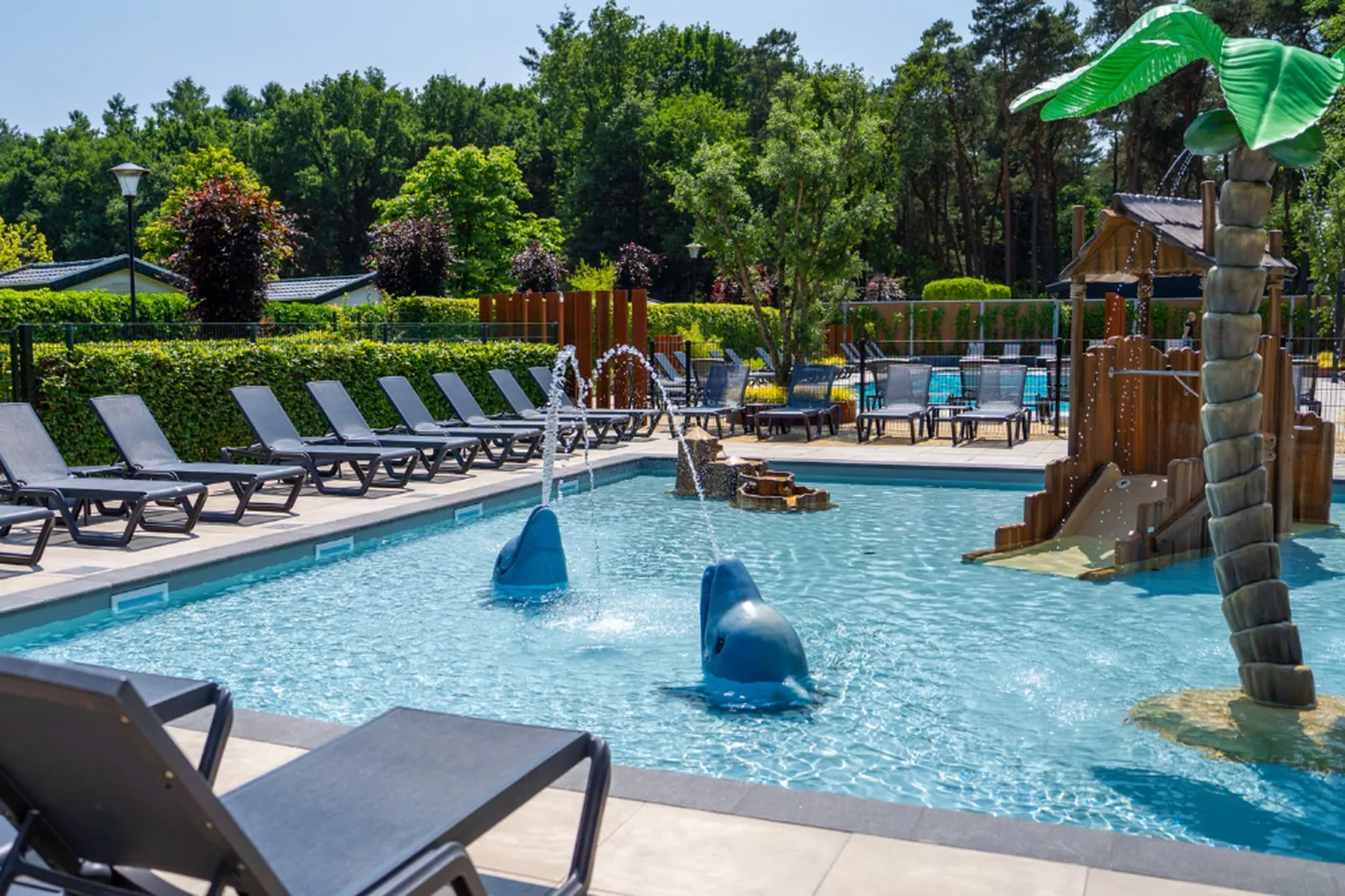 Vakantiepark Molenvelden 10 - Schwimmbad