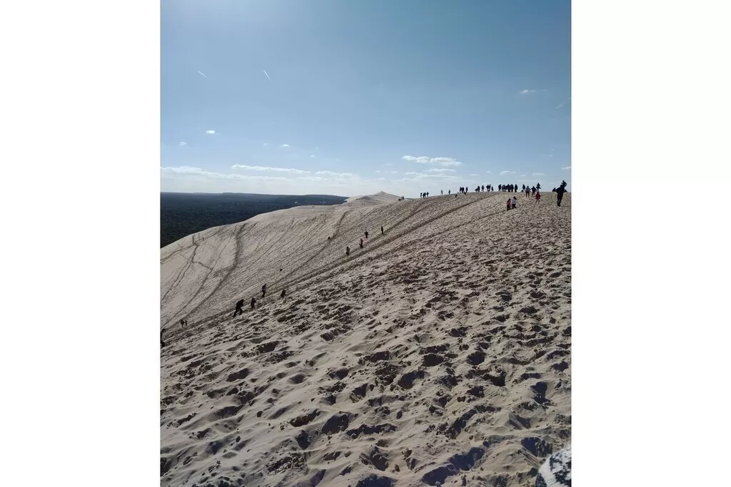 211363 - Nicht zugeordnet