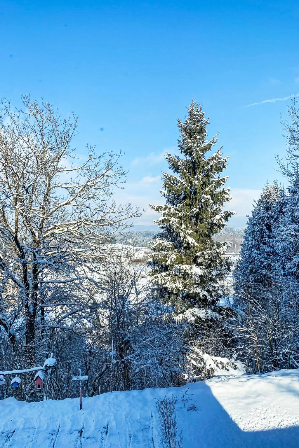 Apartamento Giovanna - Dehors