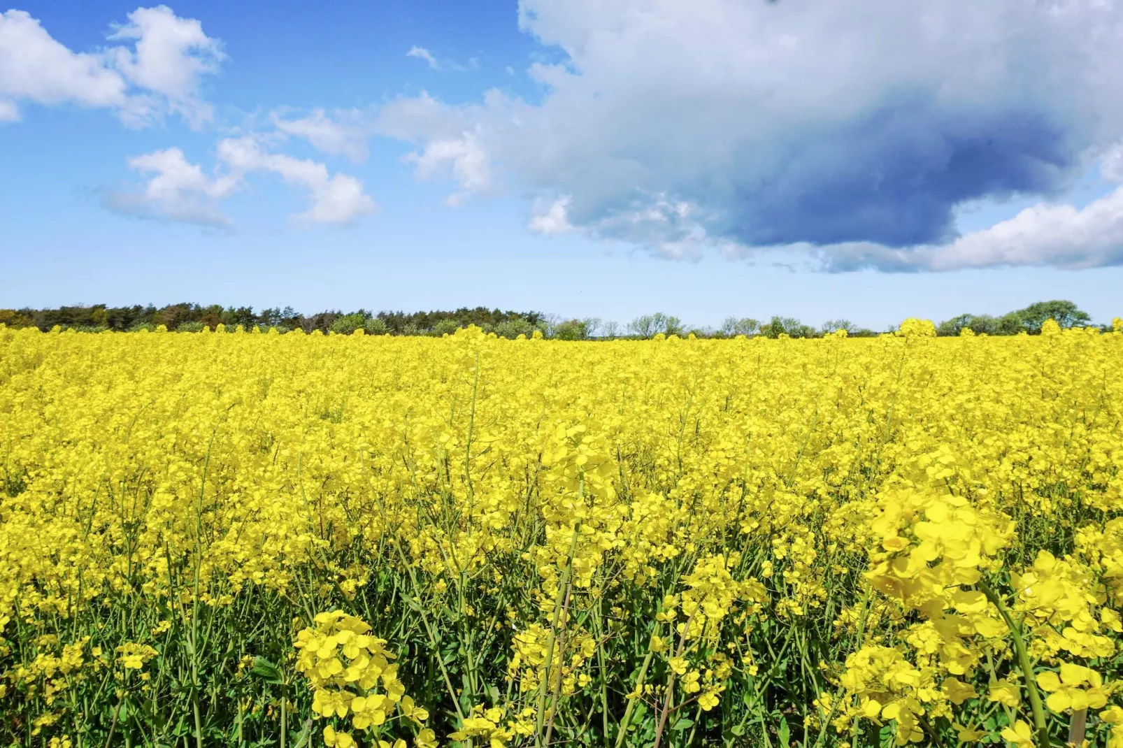 4 Personen Ferienhaus in Hemse - Nicht zugeordnet