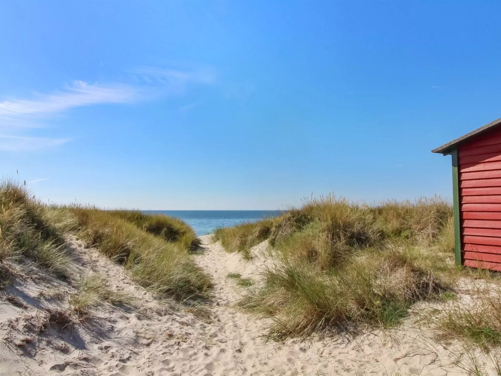 "Pisana" - 300m from the sea - Draußen